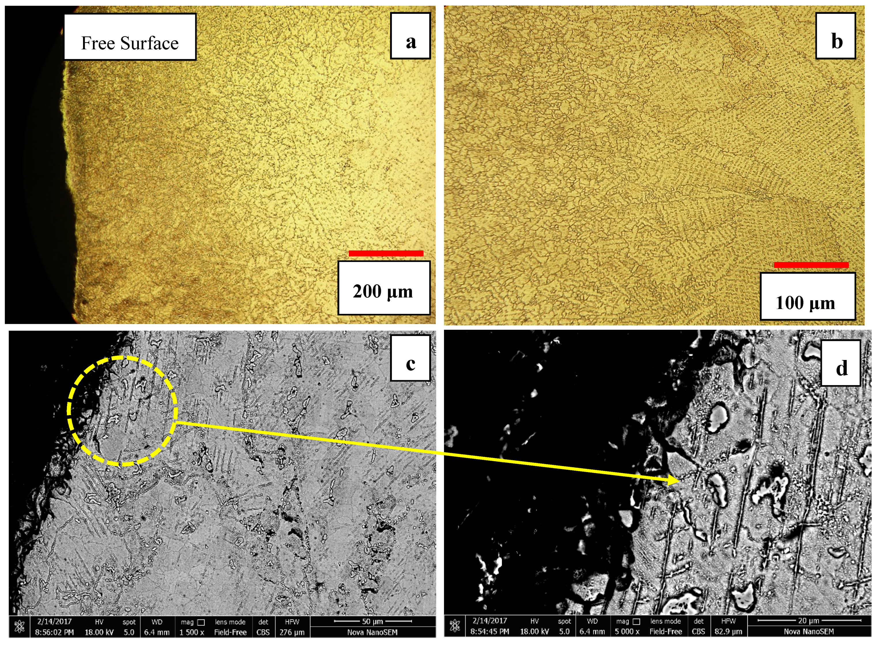 Metals 10 00861 g010
