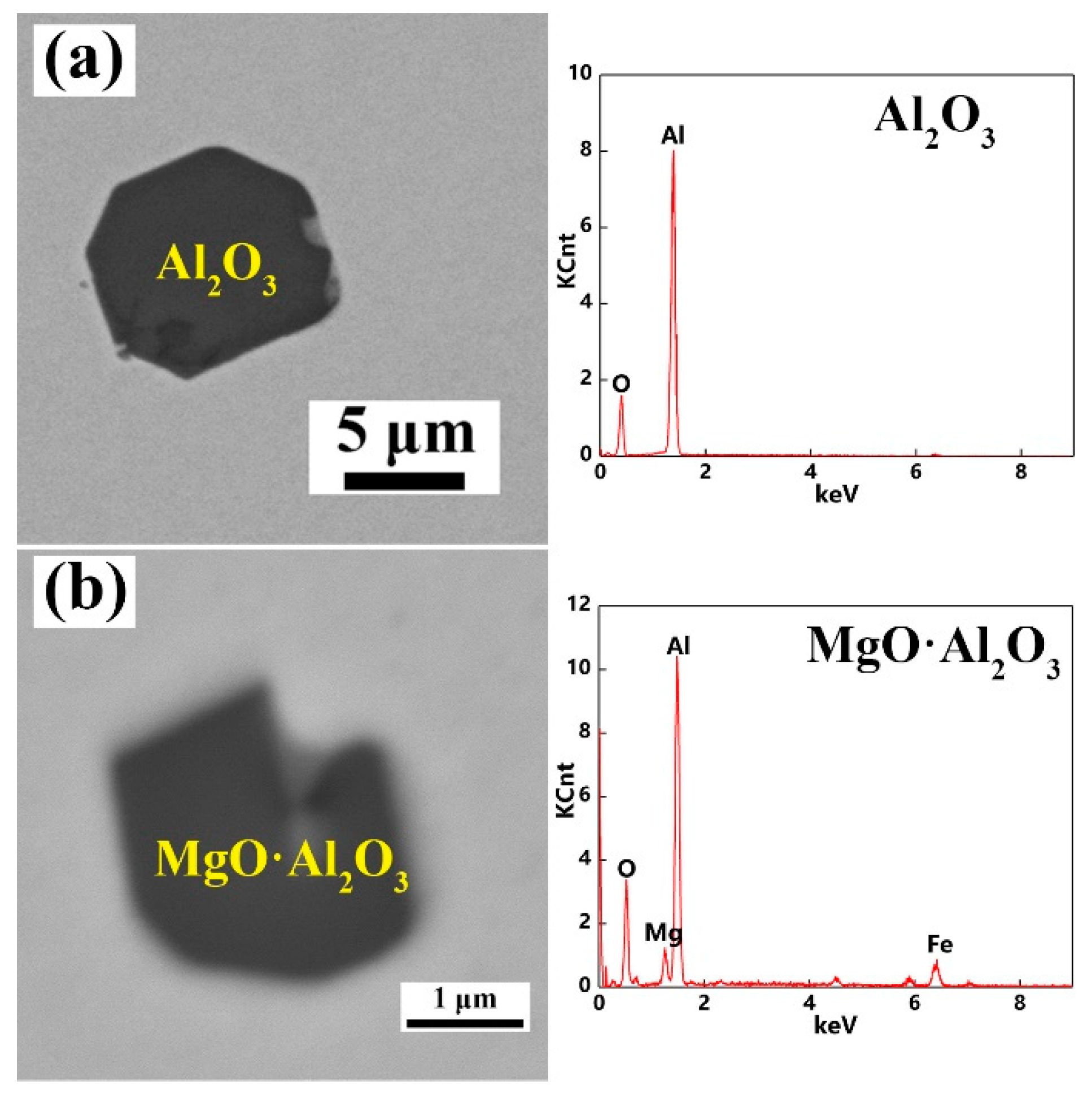 Metals 10 00863 g004