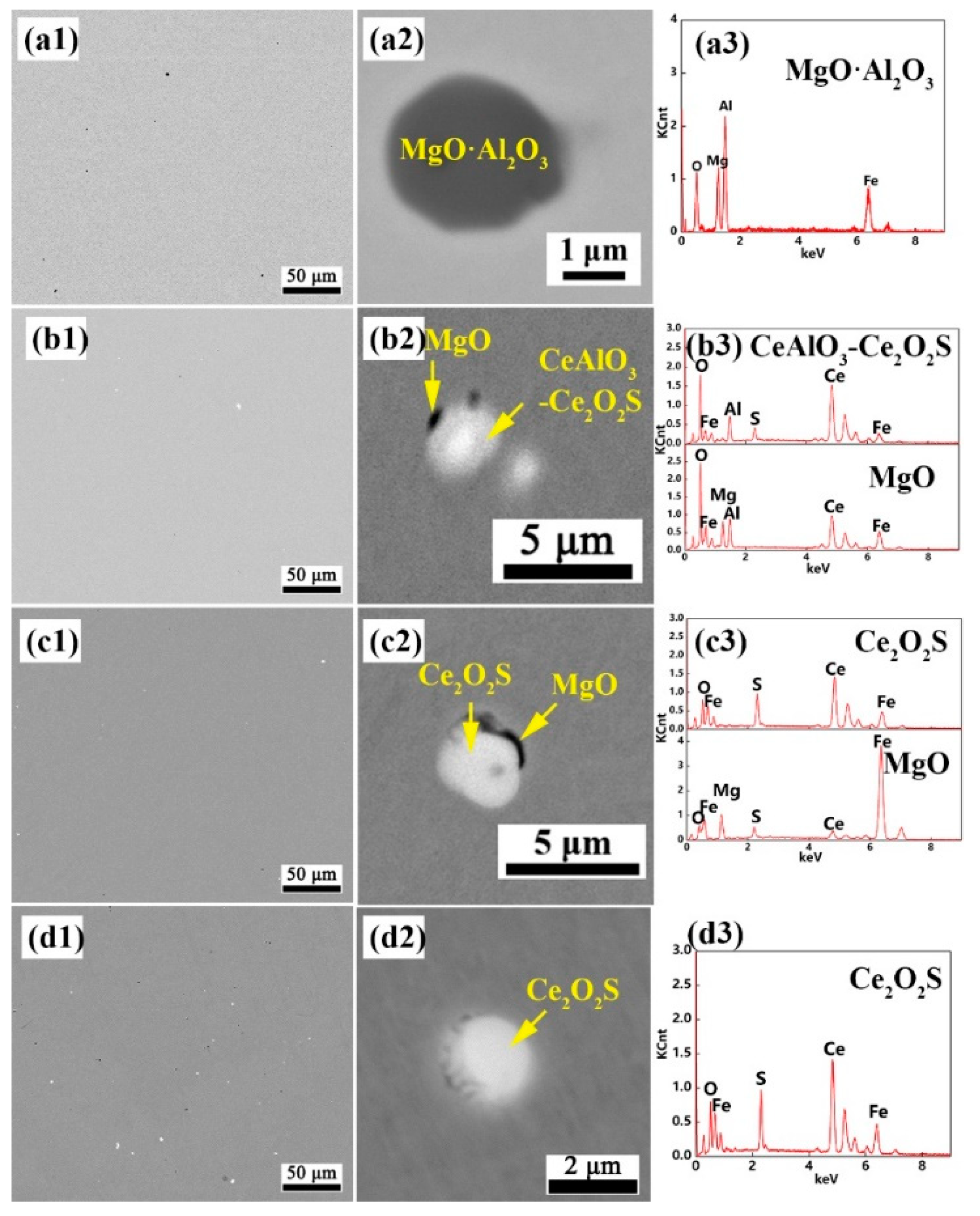 Metals 10 00863 g005
