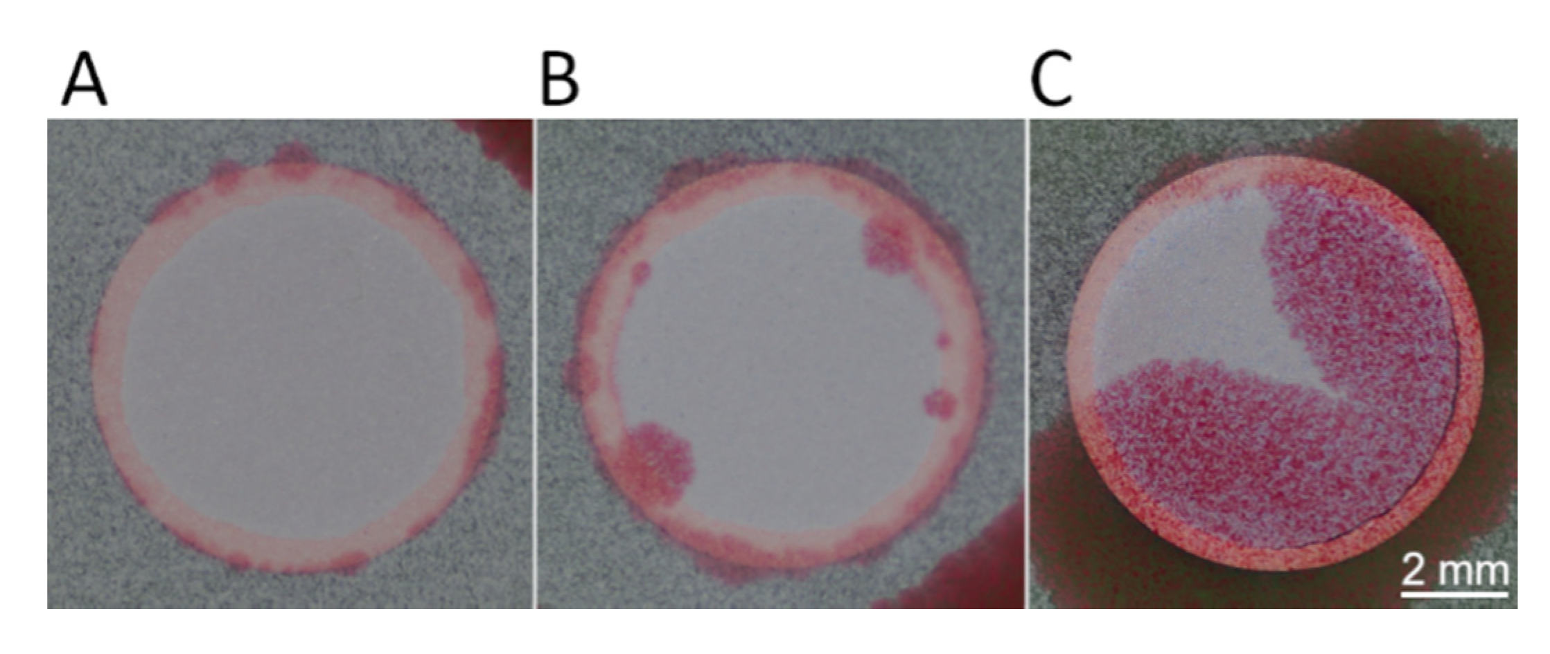 Metals 10 00888 g011 550