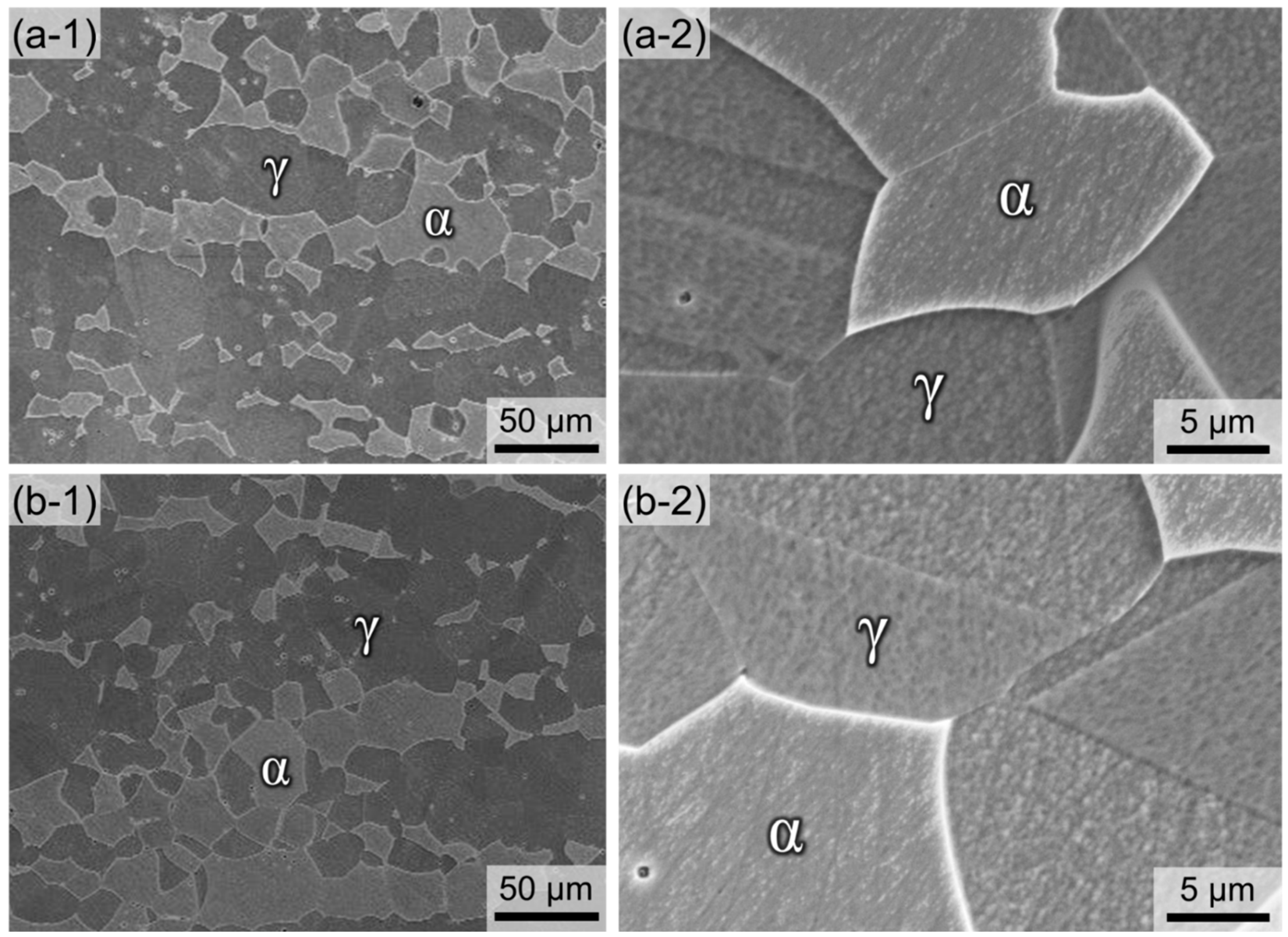 Metals 10 00891 g002