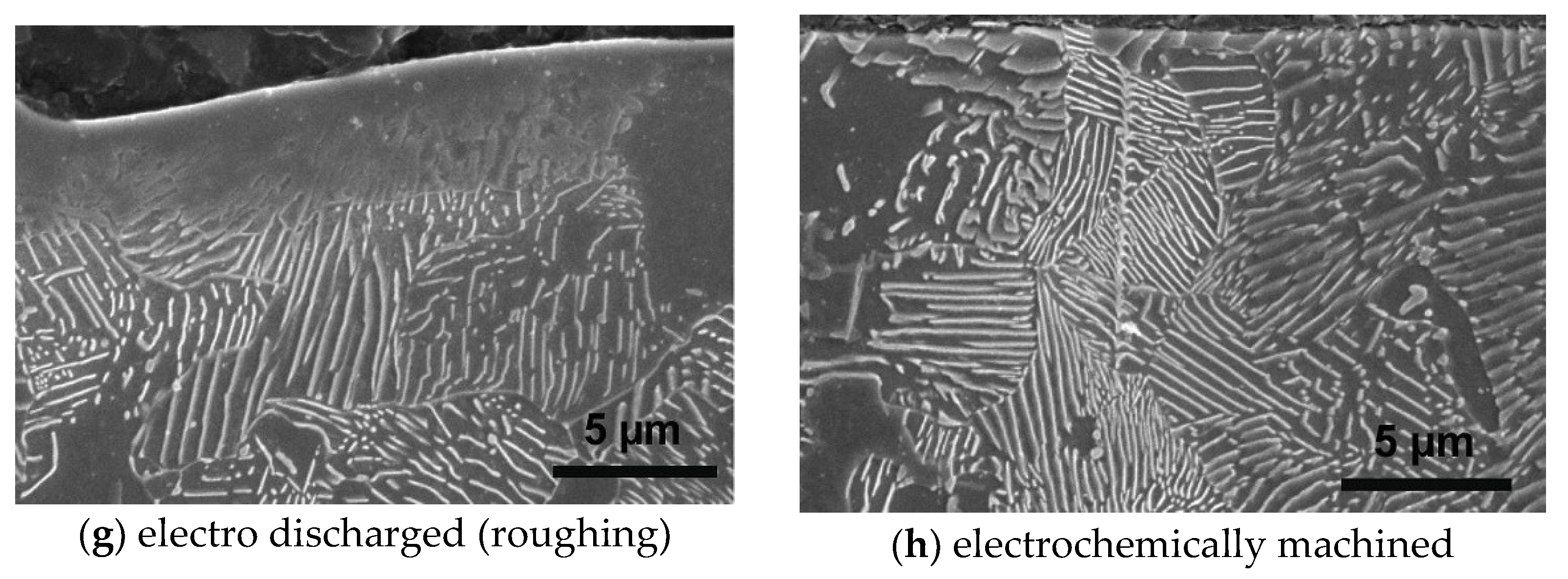 Metals 10 00895 g006b