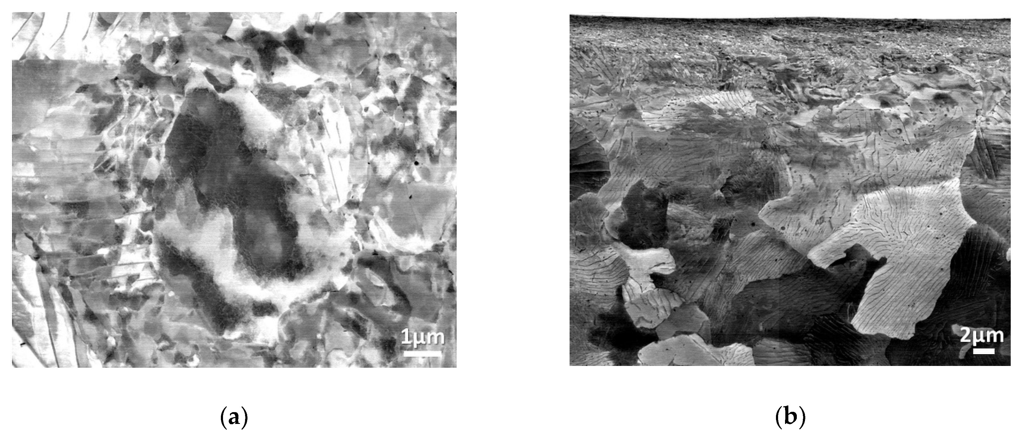 Metals 10 00895 g007a