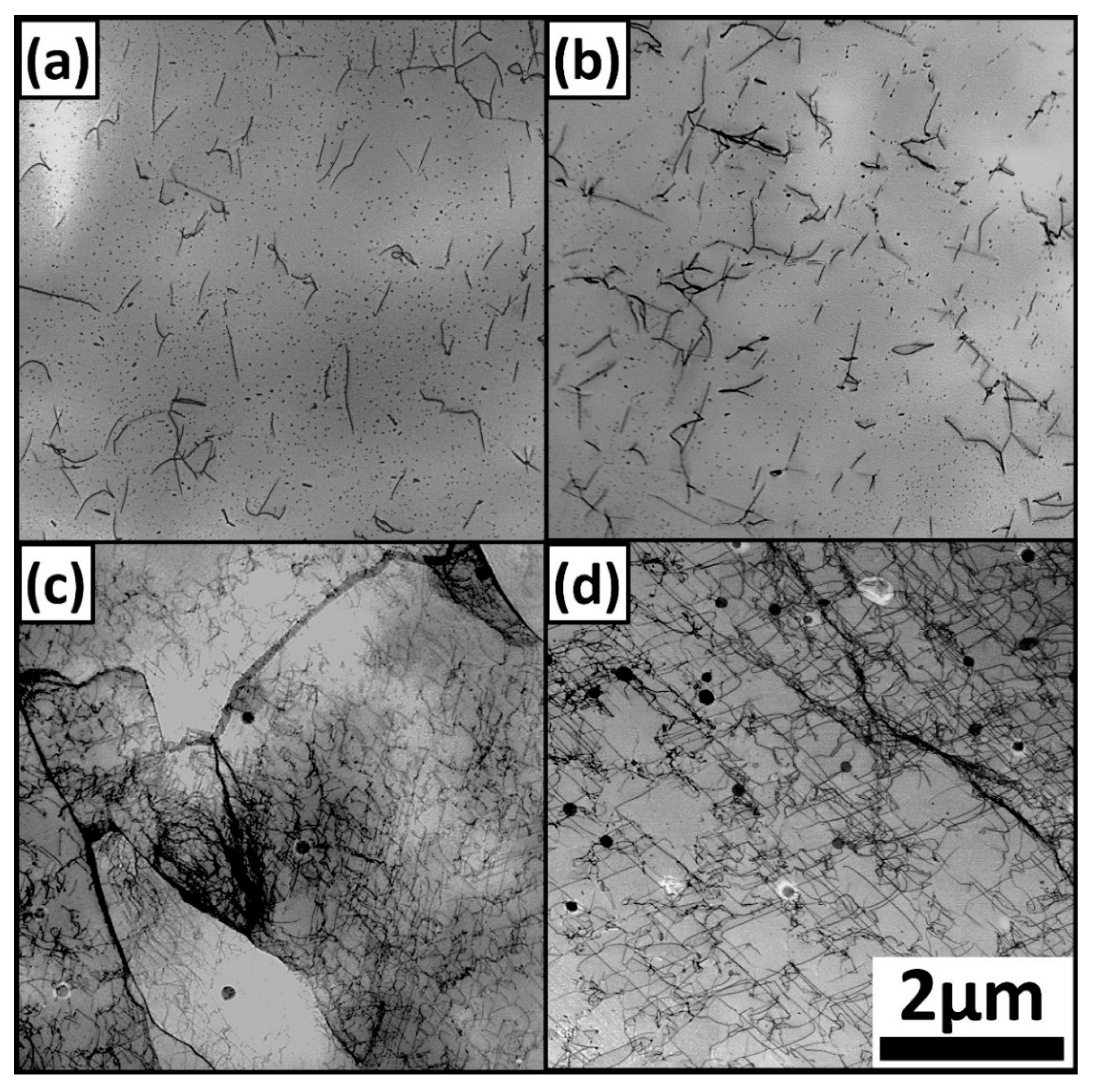 Metals 10 00898 g008