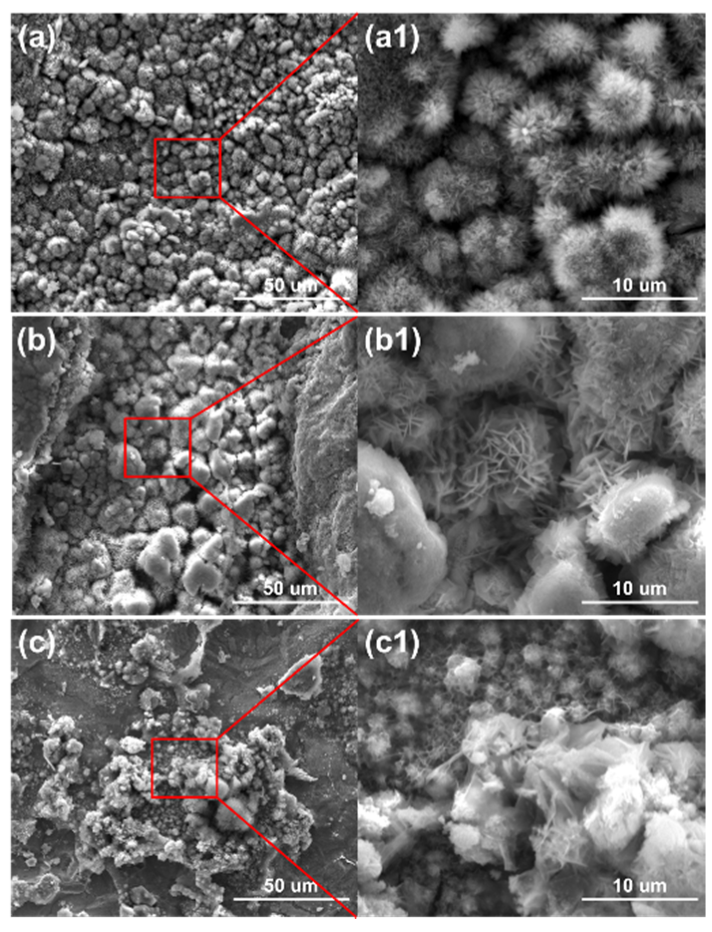 Metals 10 00905 g004