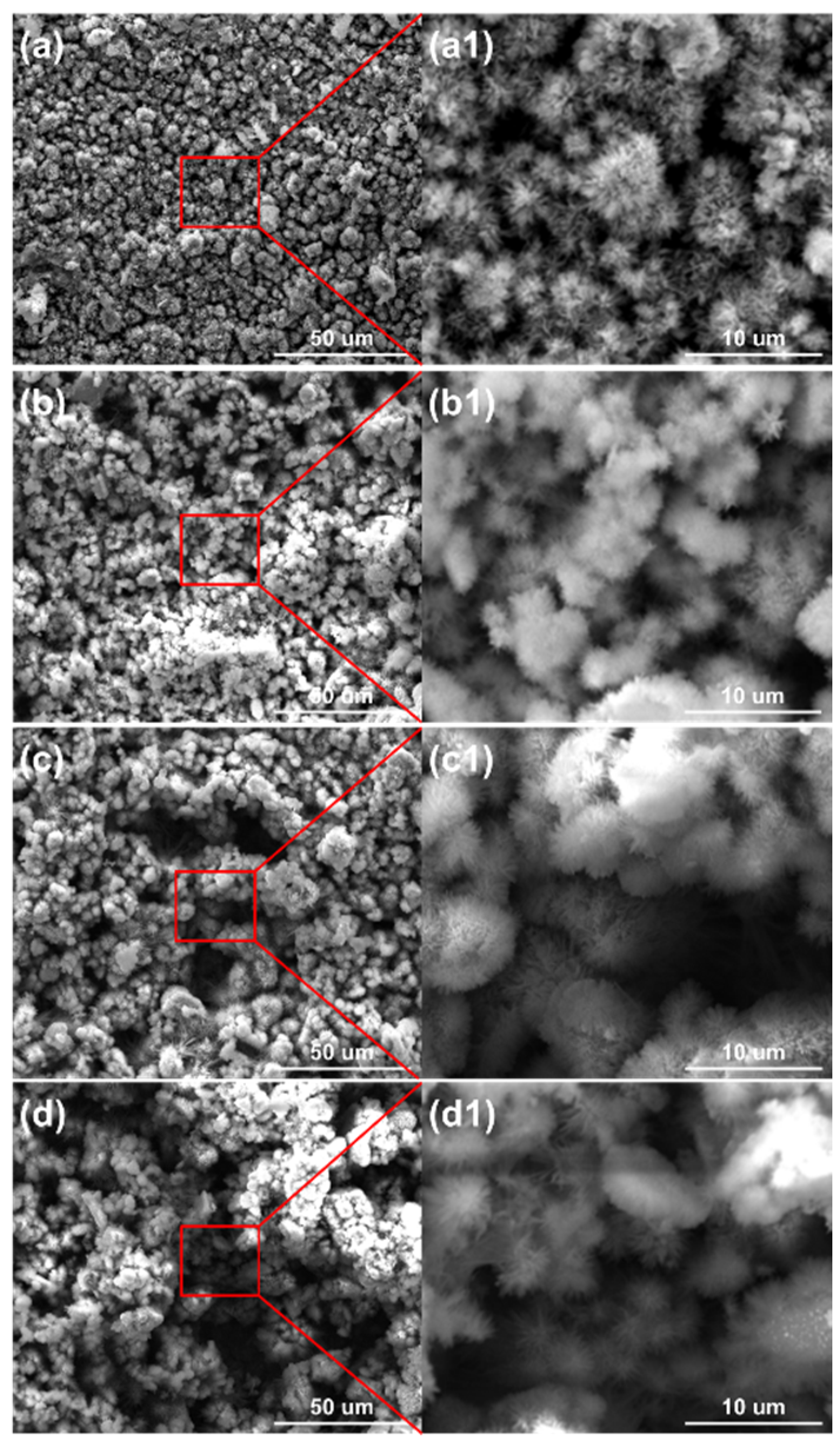 Metals 10 00905 g007