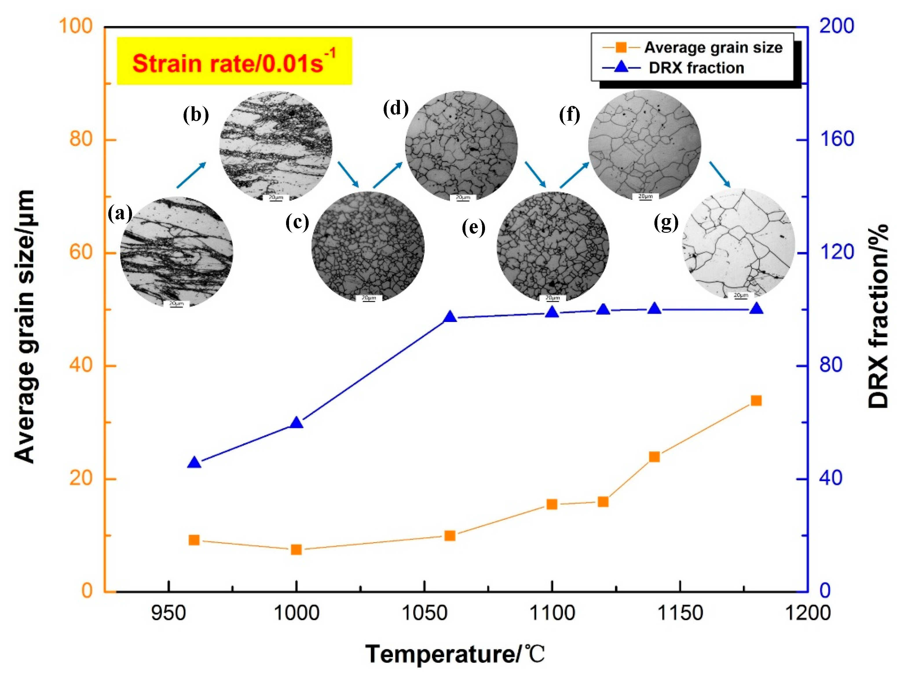 Metals 10 00920 g011