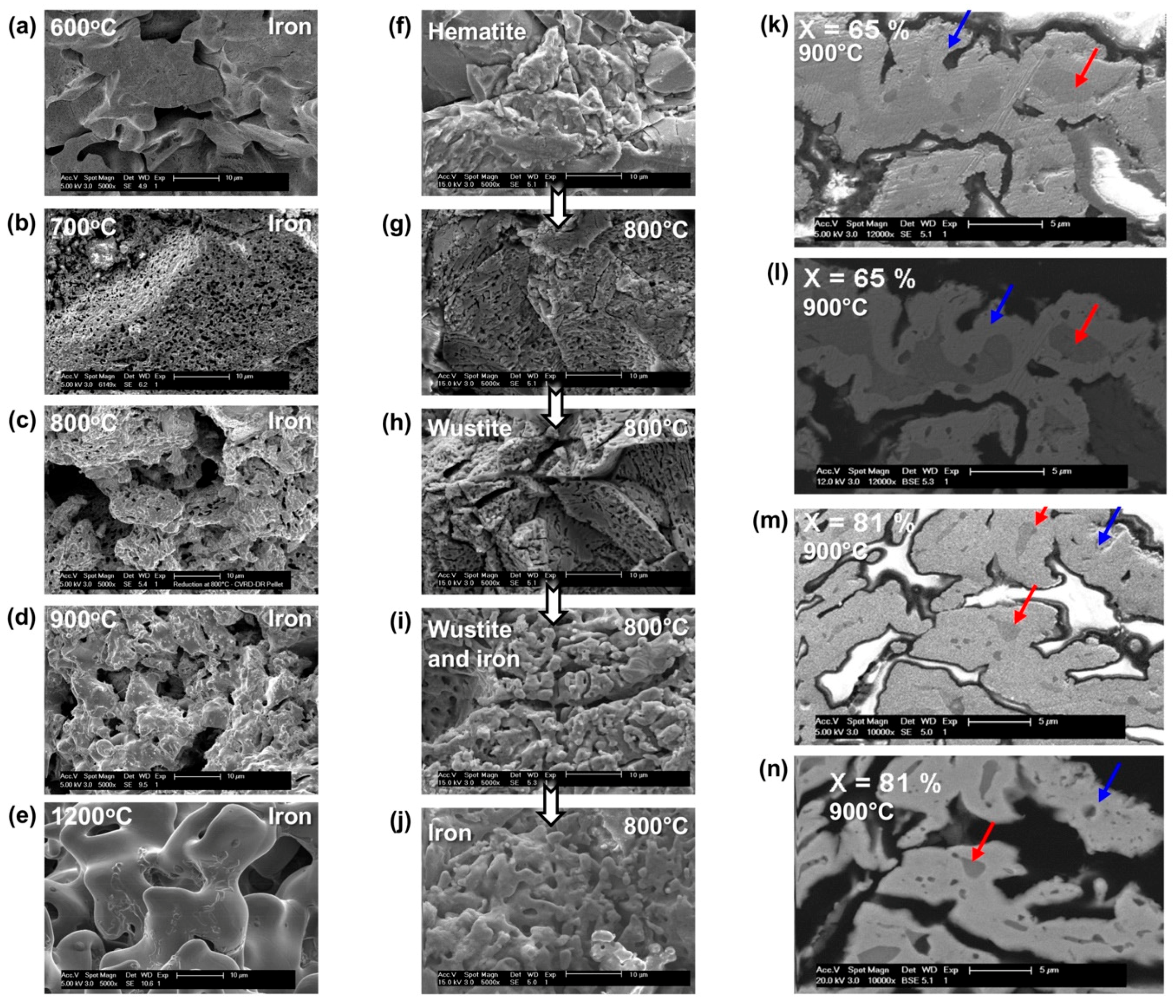Metals 10 00922 g006