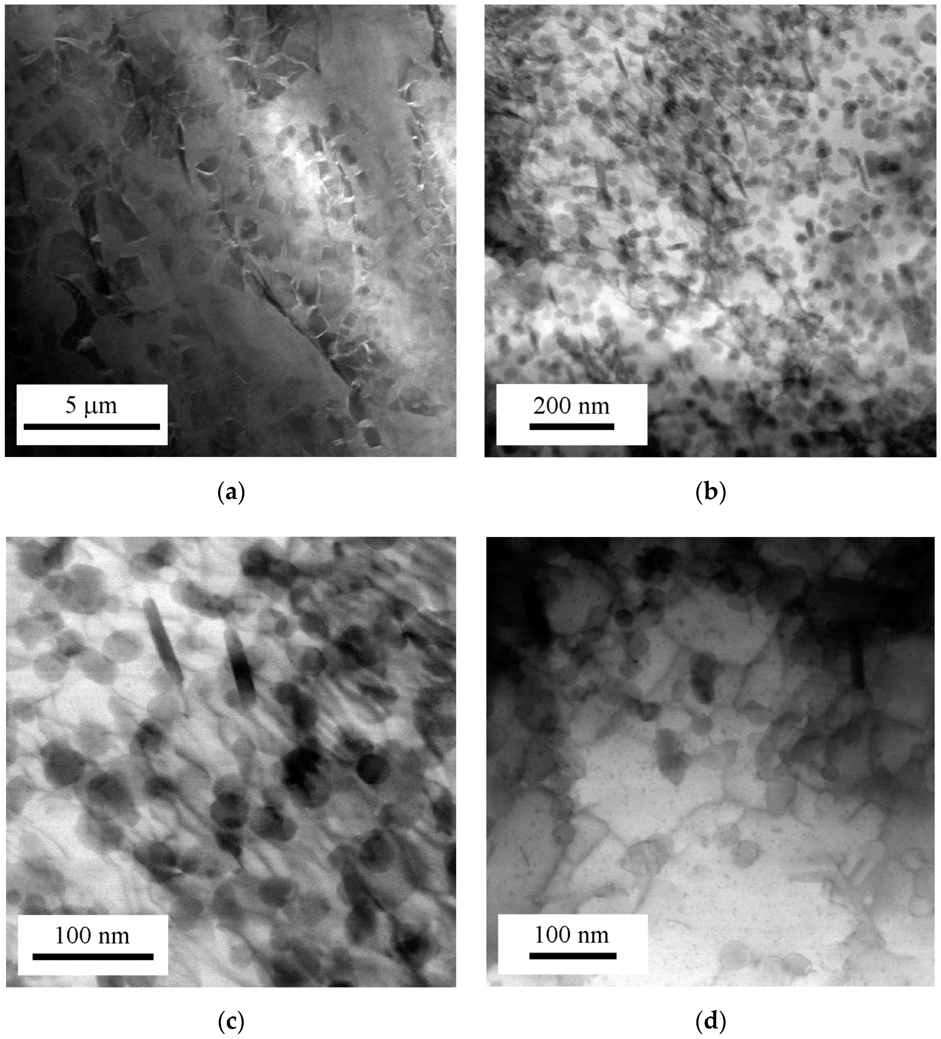 Metals 10 00937 g011