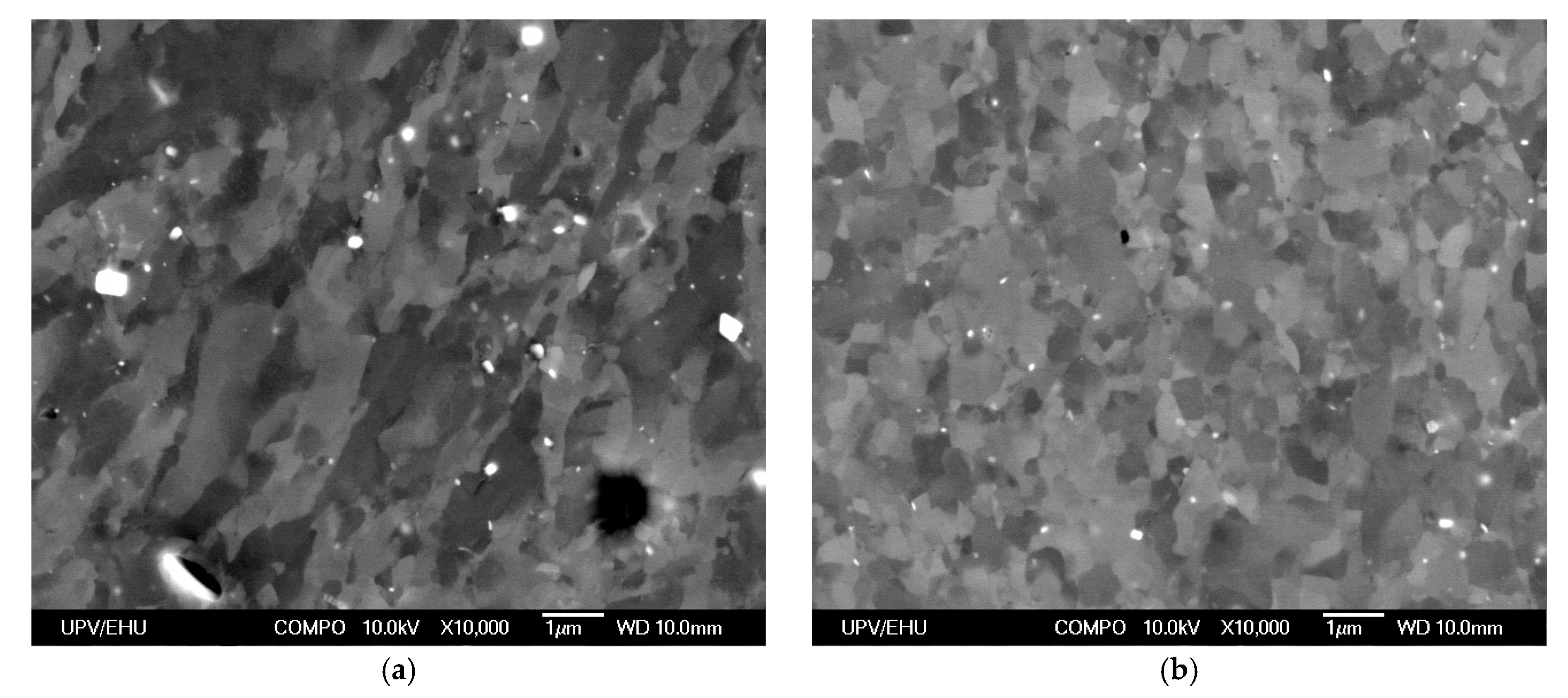 Metals 10 00938 g005