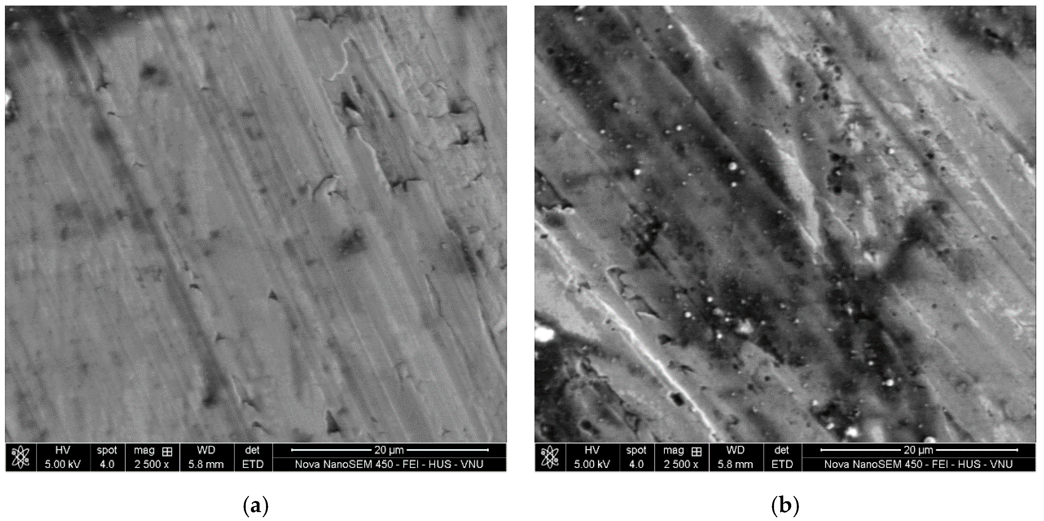 Metals 10 00939 g010