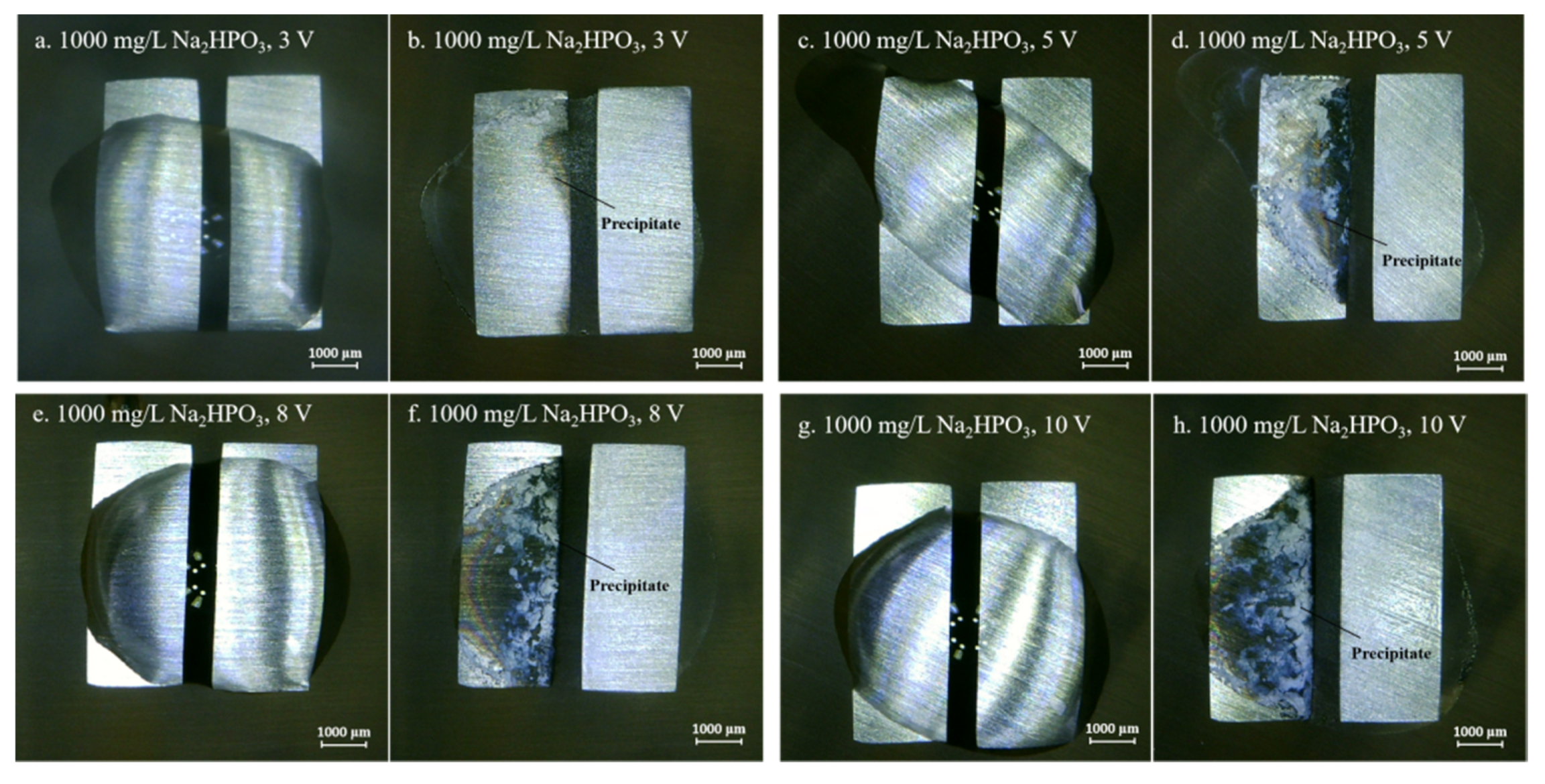 Metals 10 00942 g008