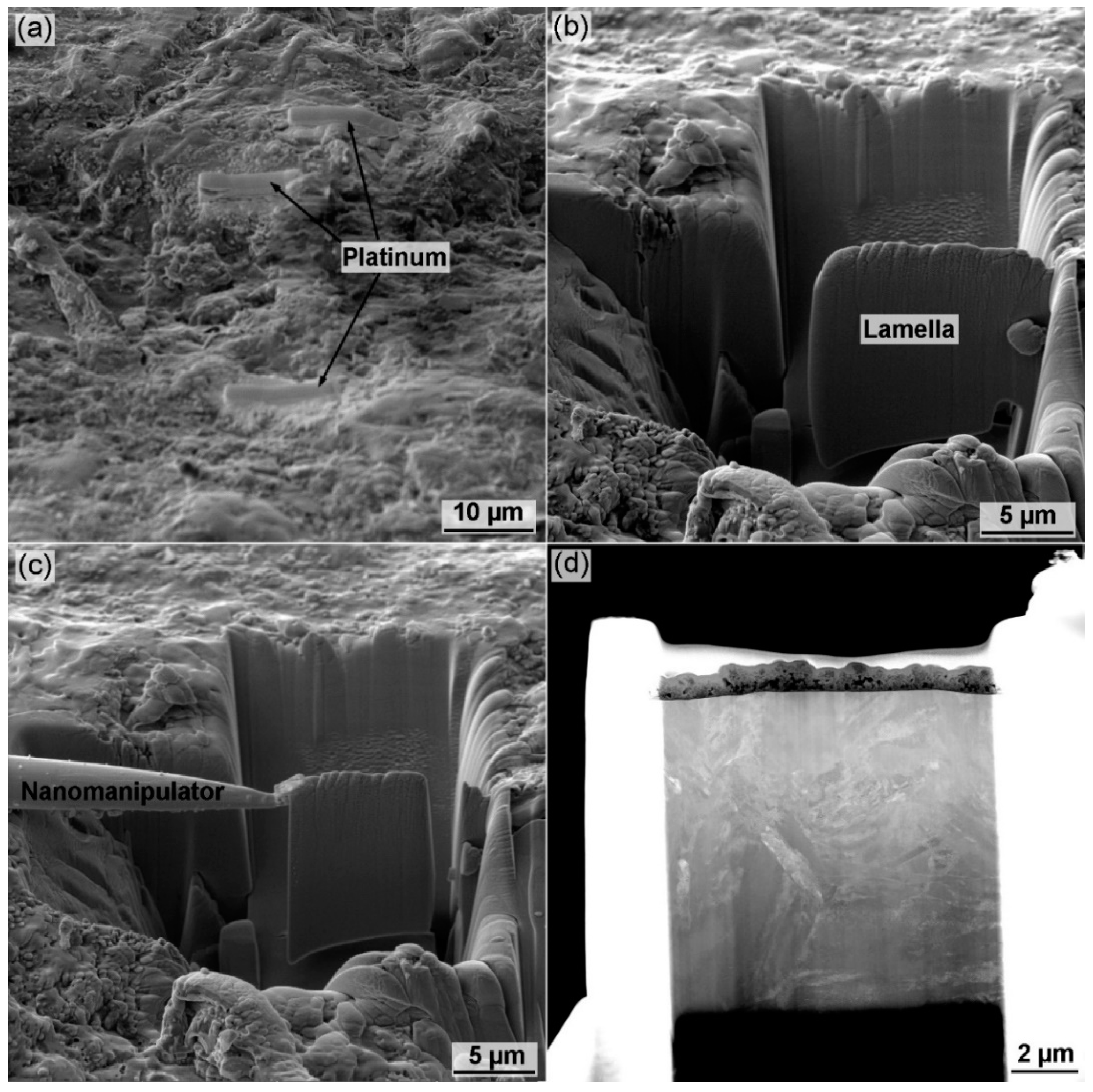 Metals 10 00949 g002