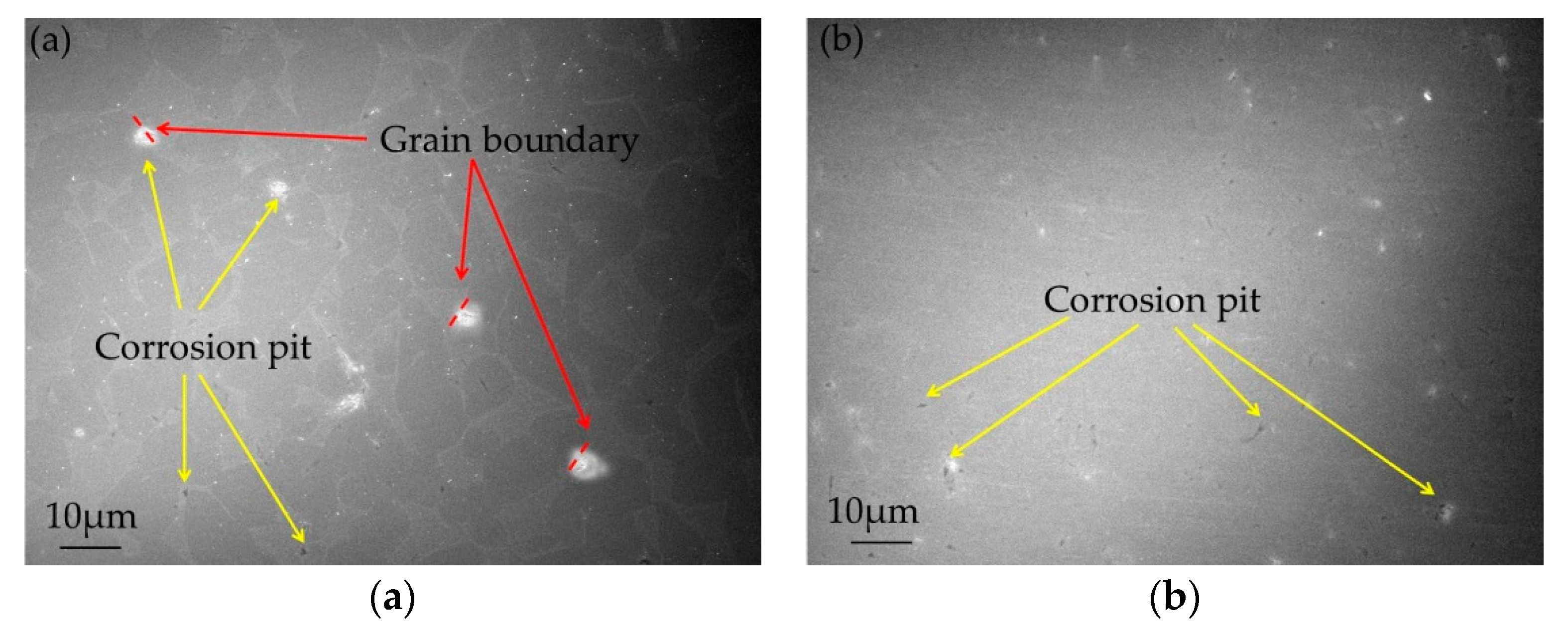 Metals 10 00950 g006
