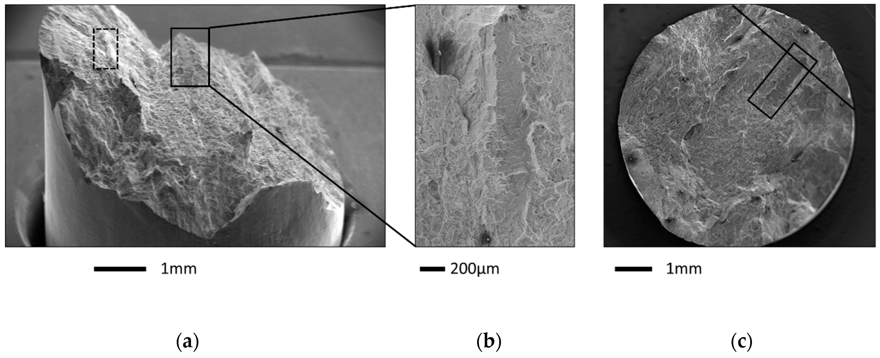 Metals 10 00951 g004