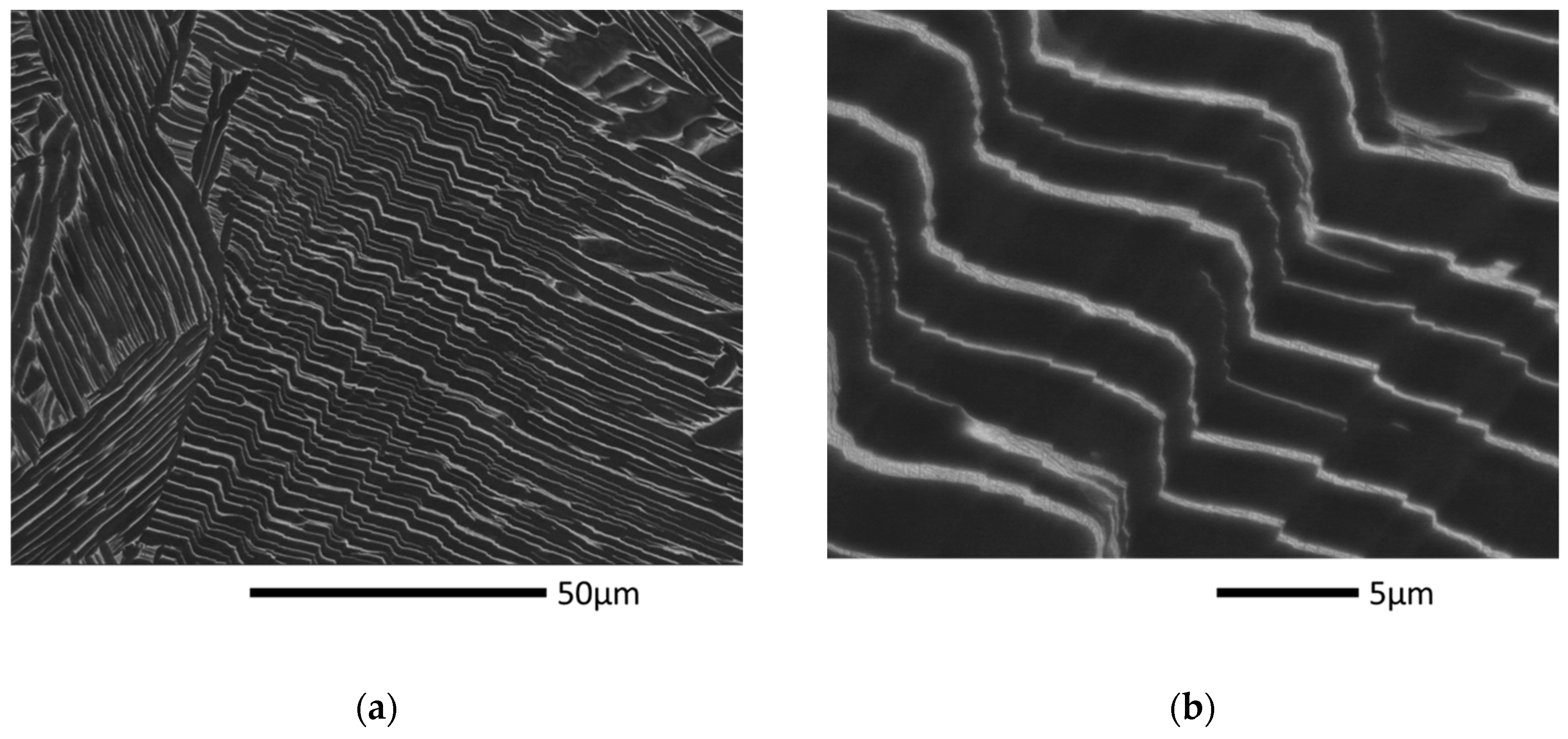 Metals 10 00951 g008