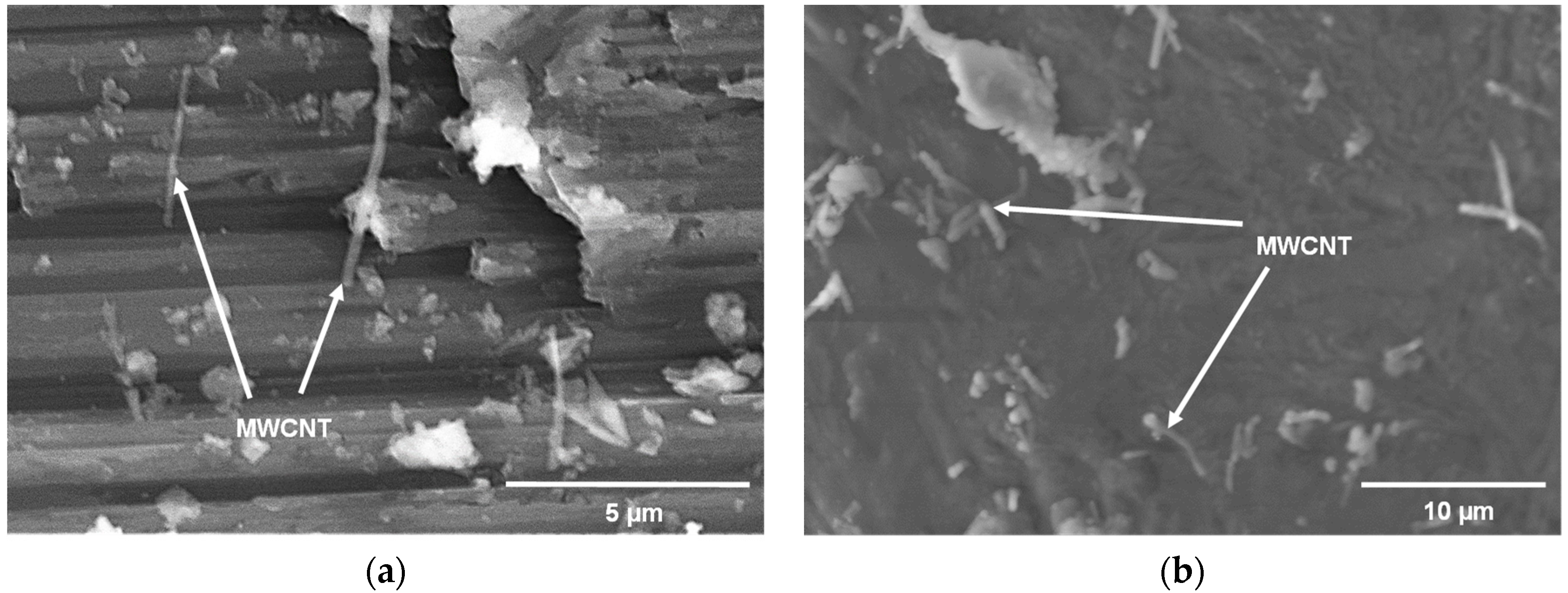 Metals 10 00955 g004