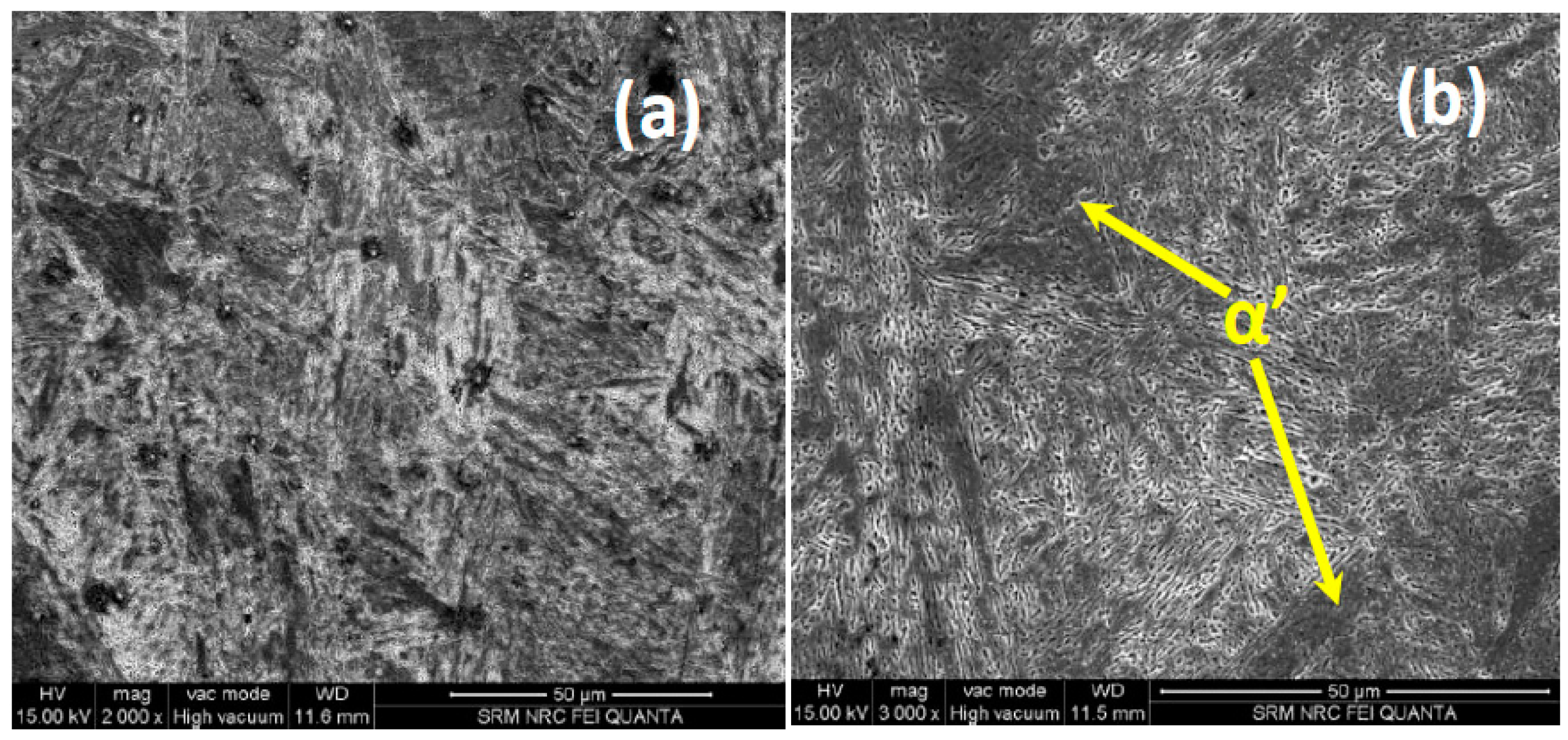 Metals 10 00958 g004a