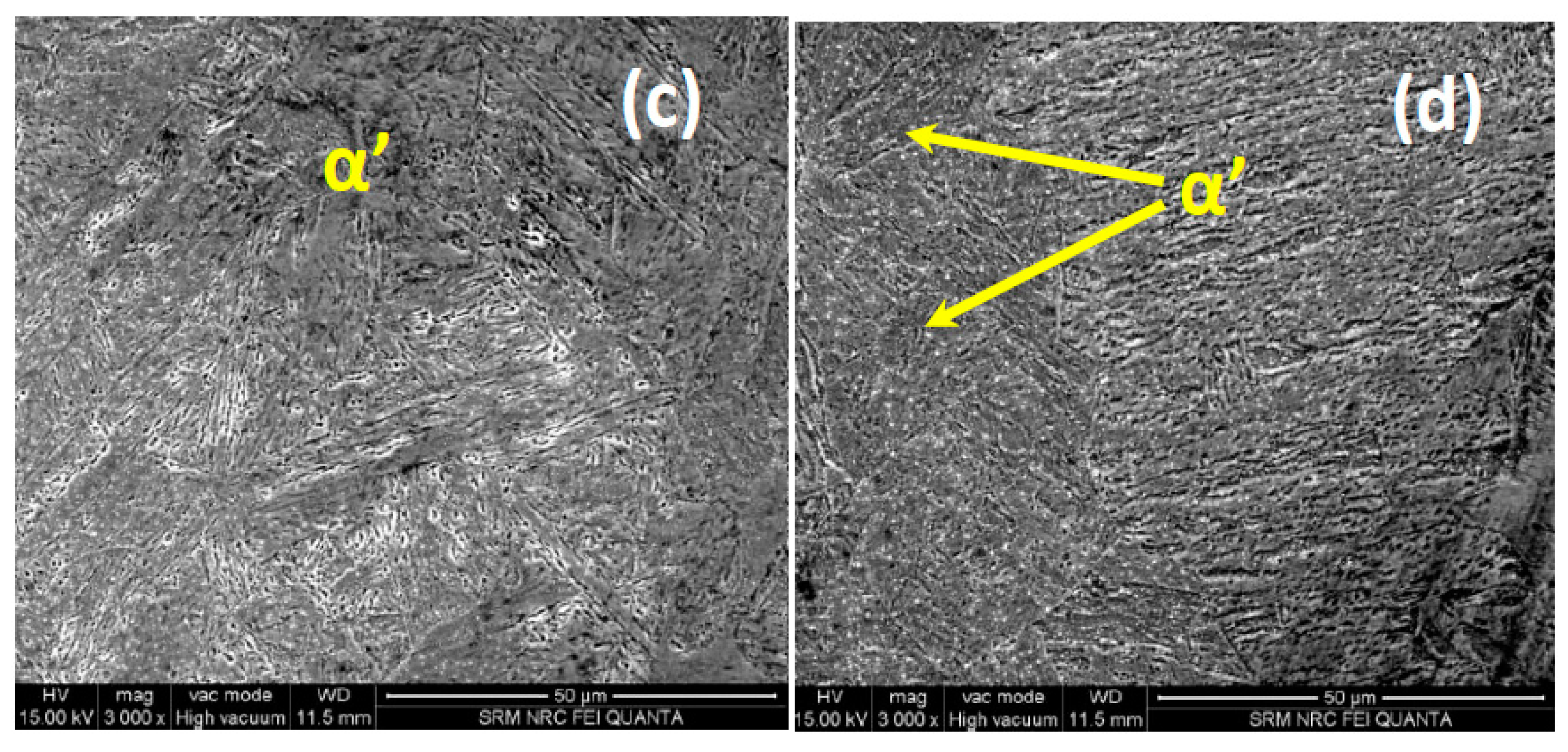 Metals 10 00958 g004b