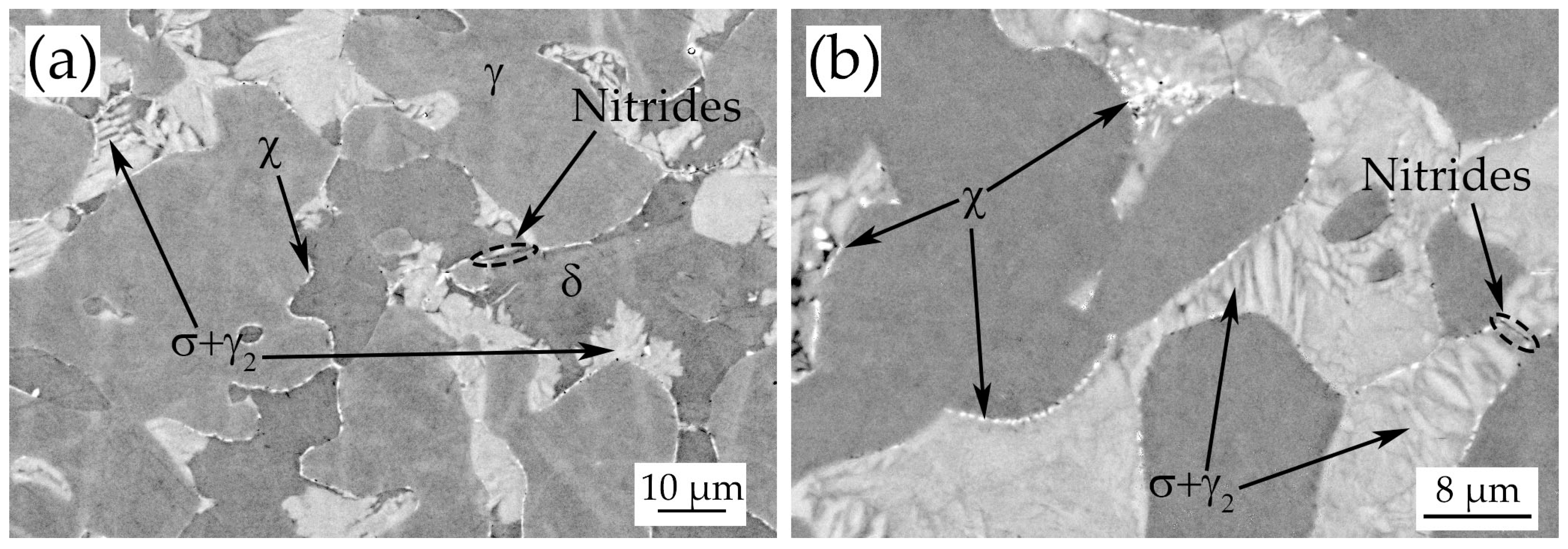 Metals 10 00967 g002