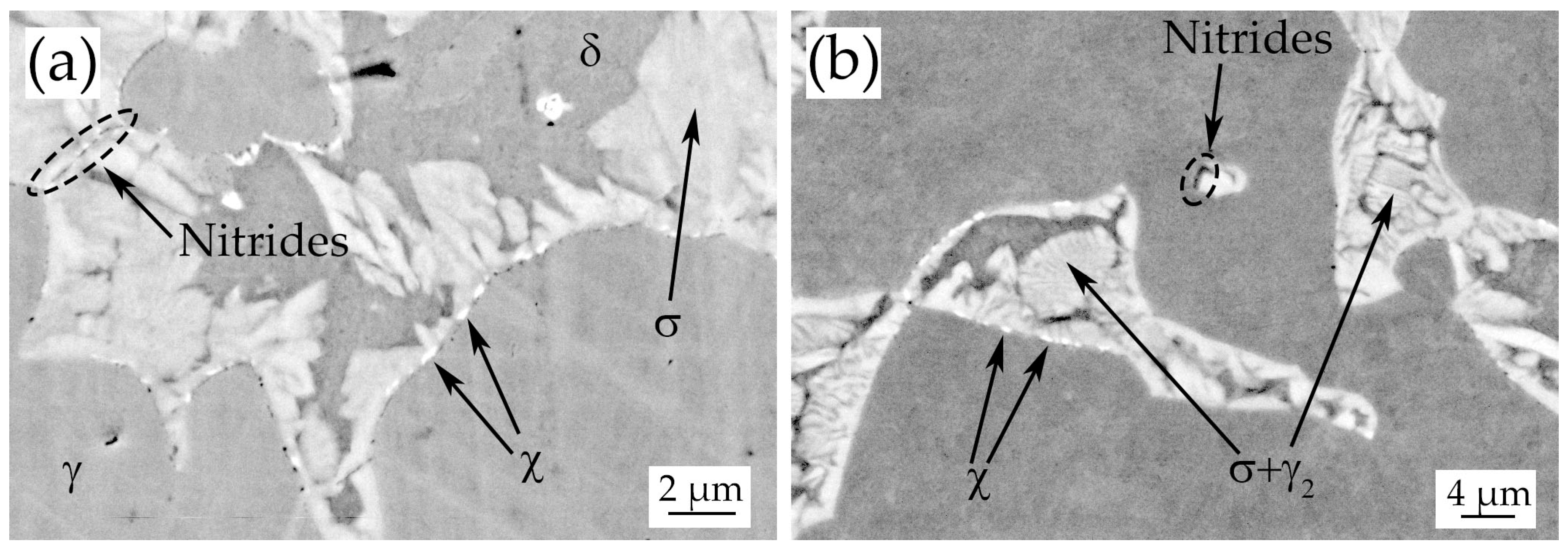 Metals 10 00967 g003
