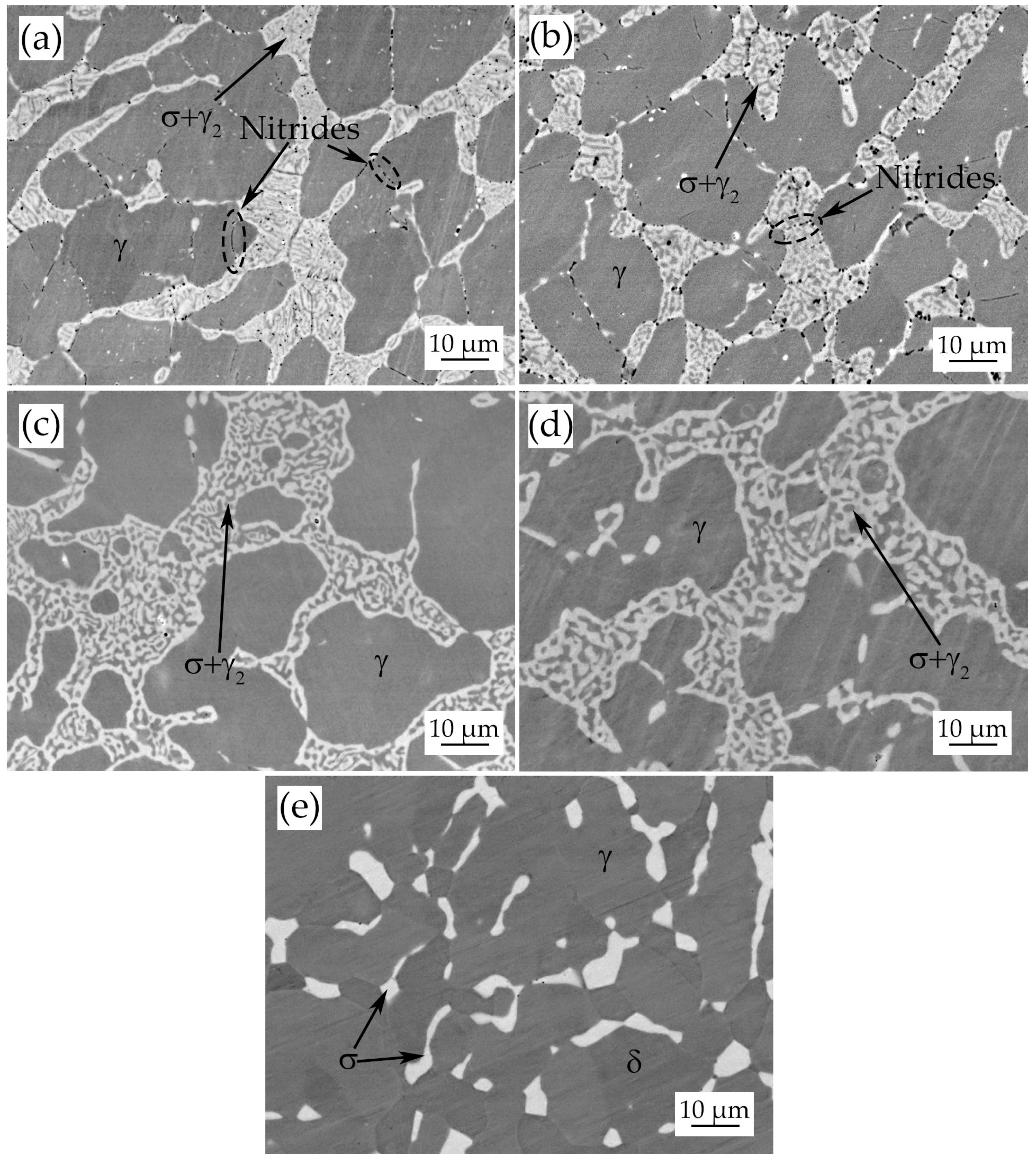 Metals 10 00967 g005