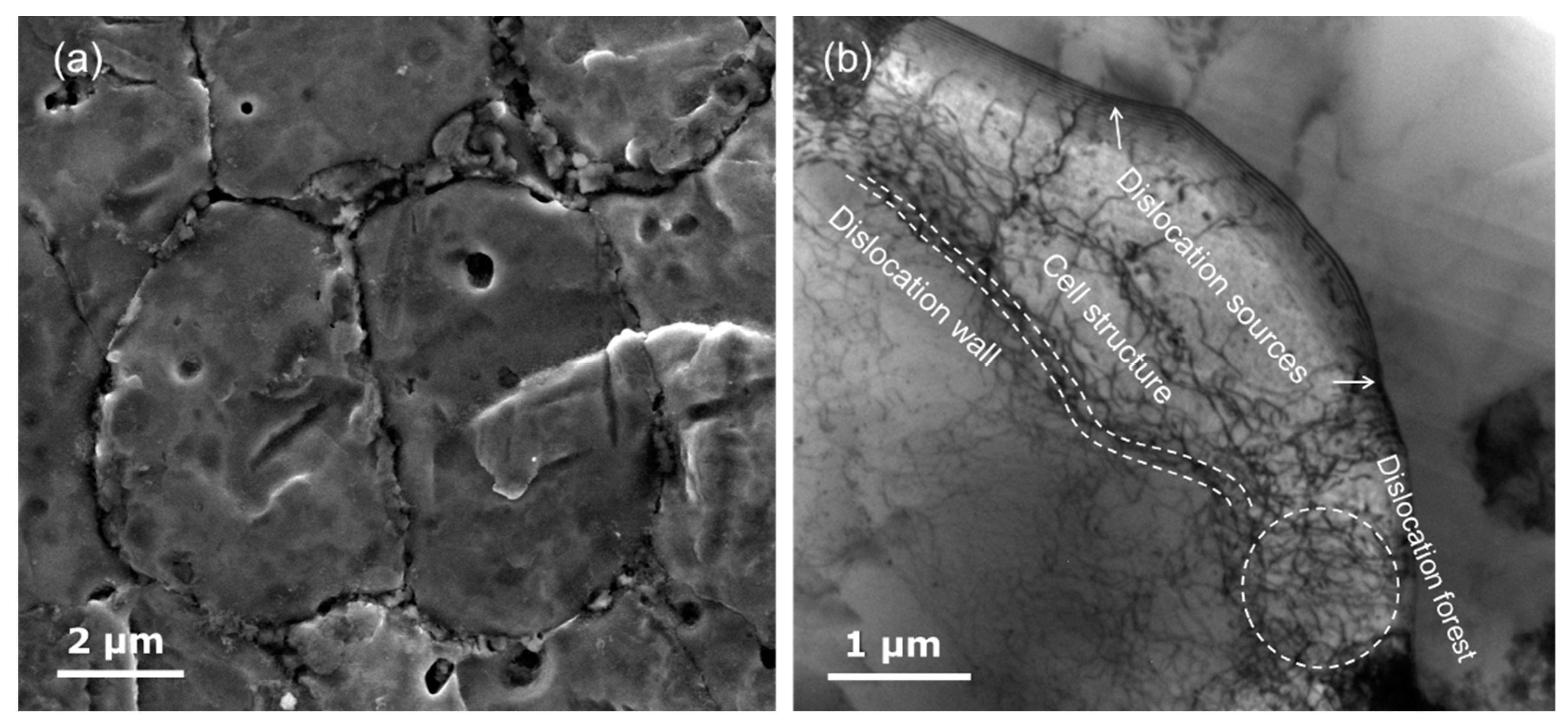 Metals 10 00971 g006 Metals 10 00971 g006