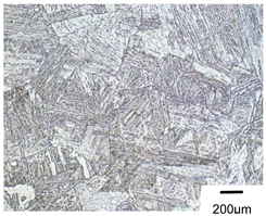 Metals 10 00974 i013