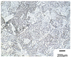 Metals 10 00974 i015