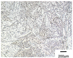 Metals 10 00974 i016