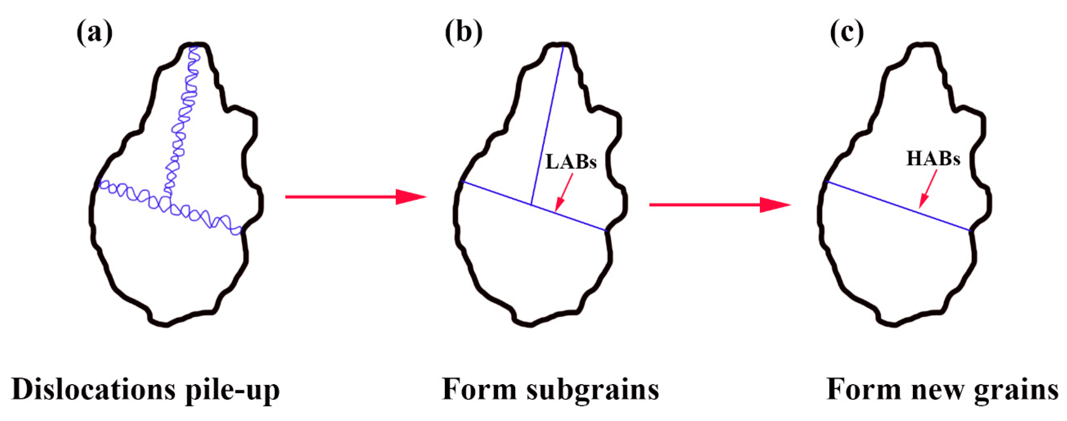 Metals 10 00985 g007