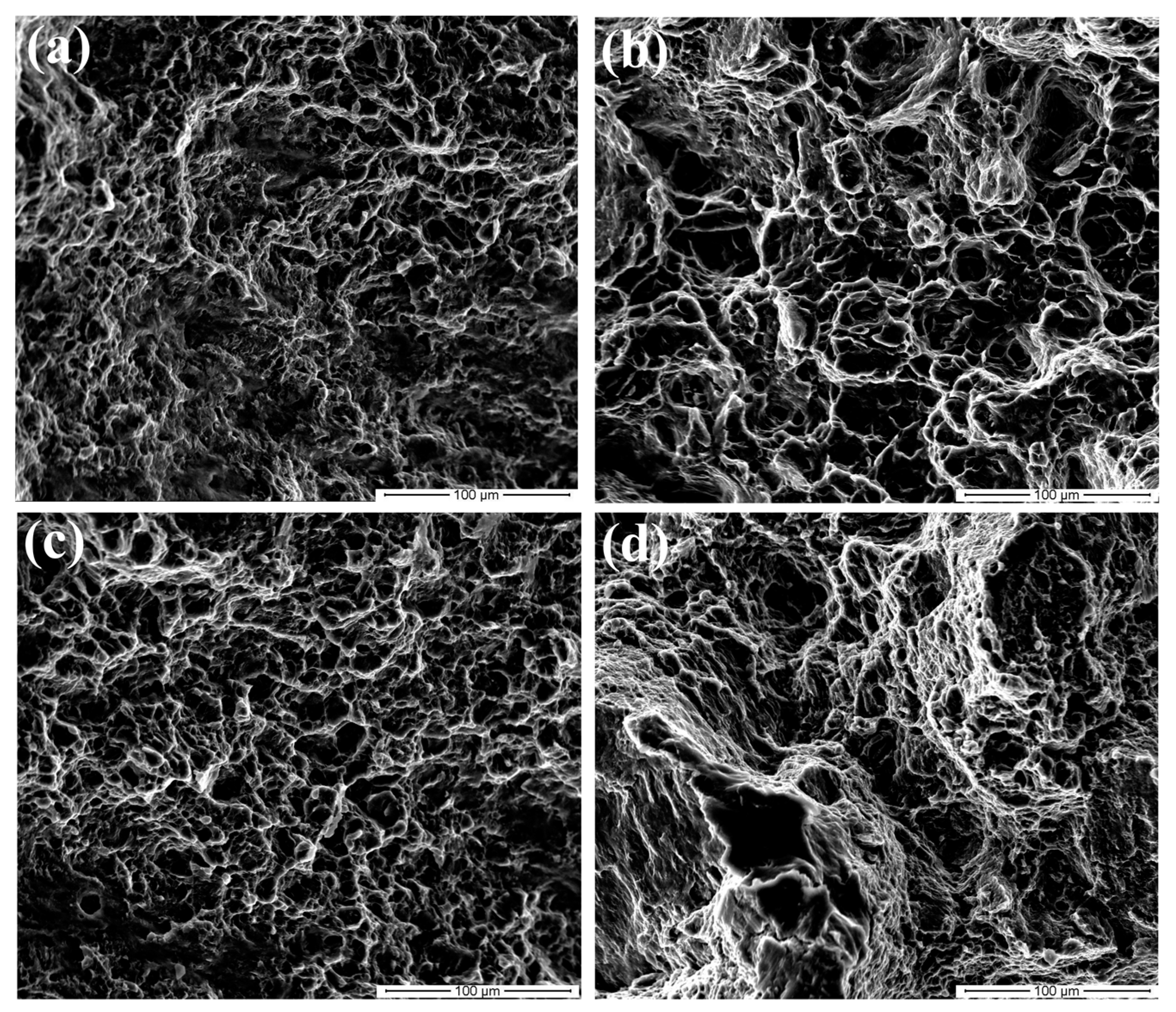 Metals 10 01000 g010