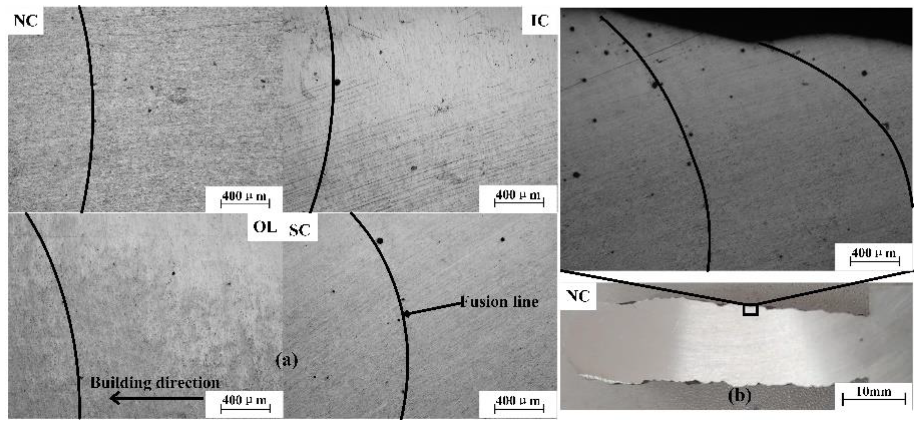 Metals 10 01004 g009