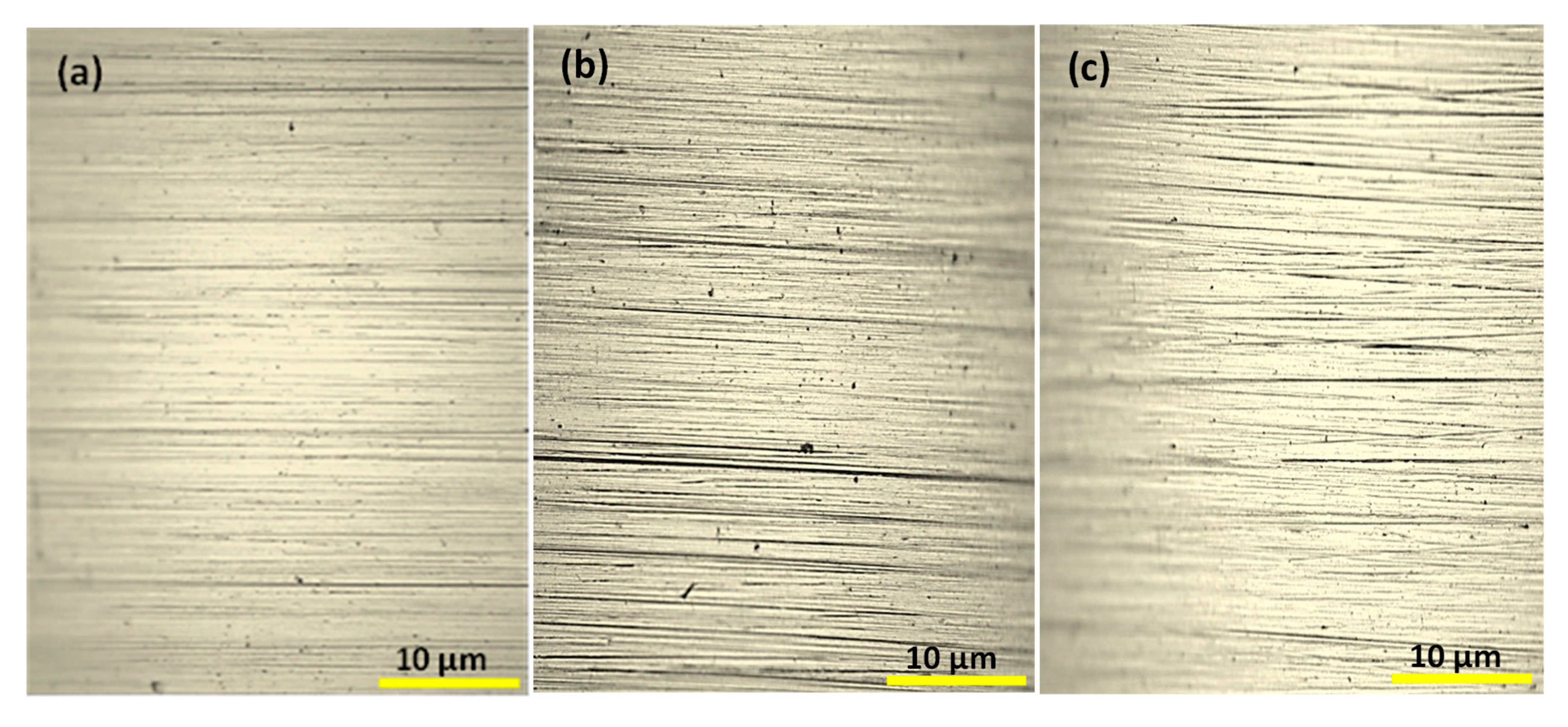 Metals 10 01005 g010