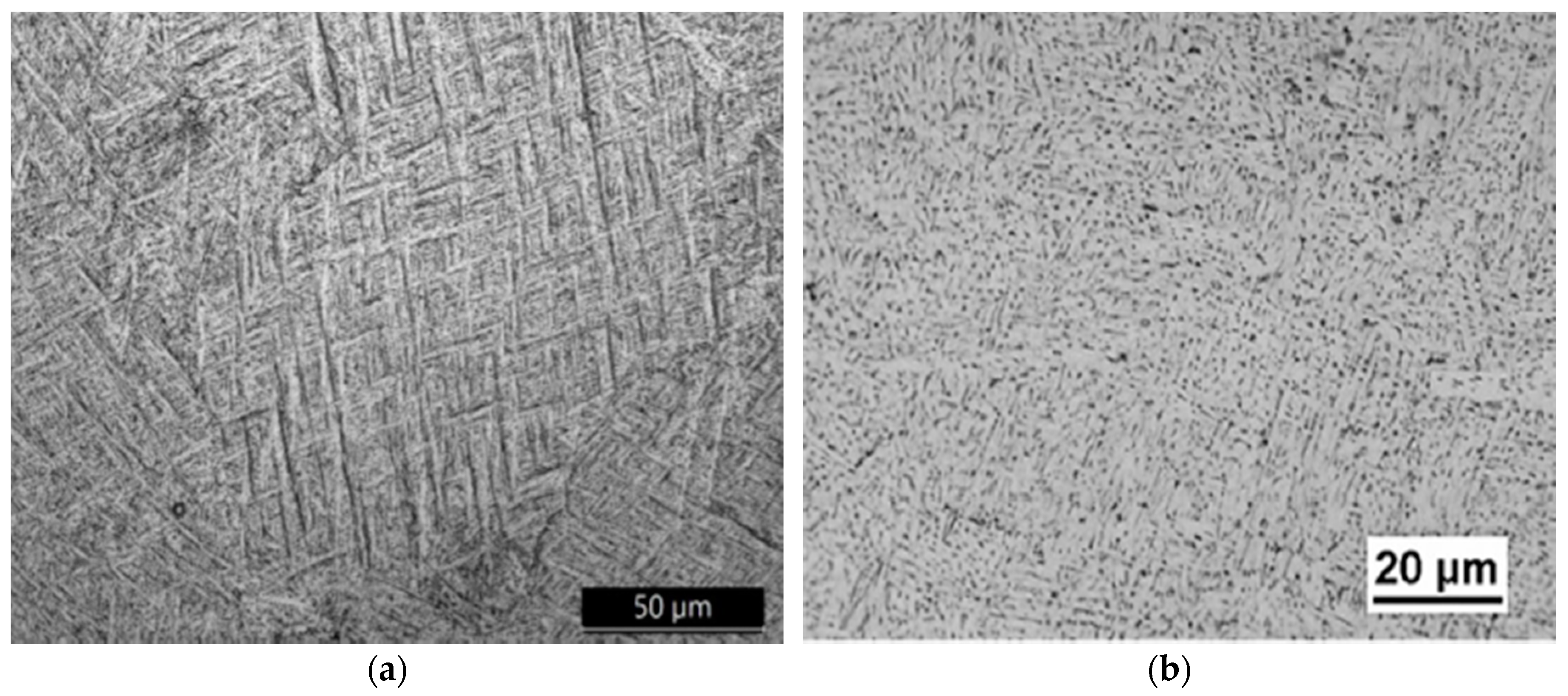 Metals 10 01006 g007