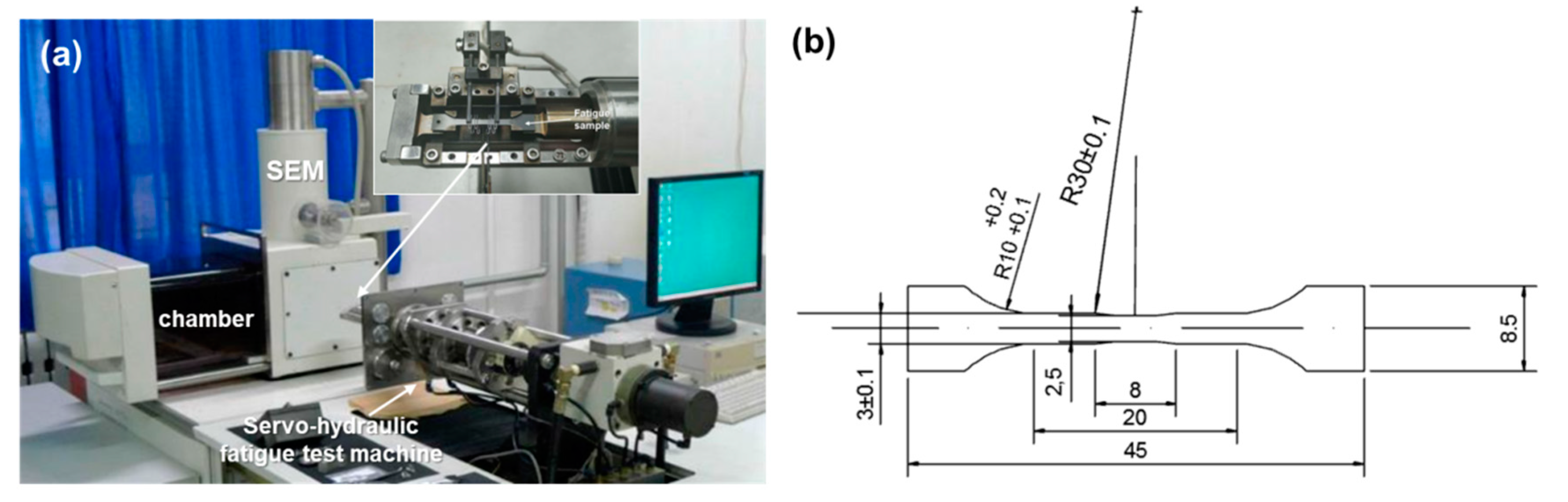 Fatigue Fracture Mechanism of a Nickel-Based Single Crystal