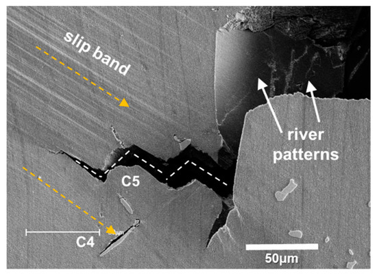 Fatigue Fracture Mechanism of a Nickel-Based Single Crystal