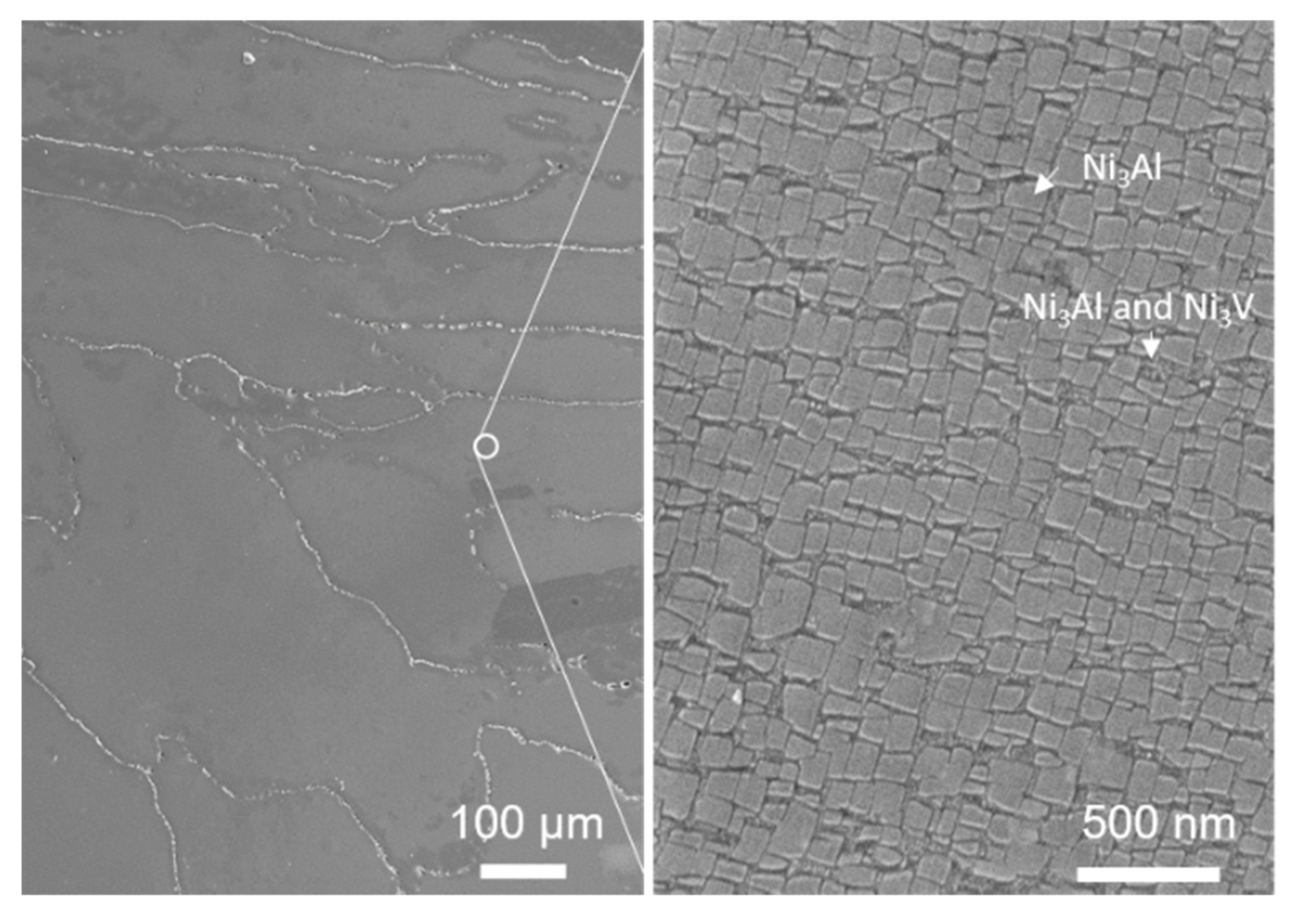 Metals 10 01011 g003