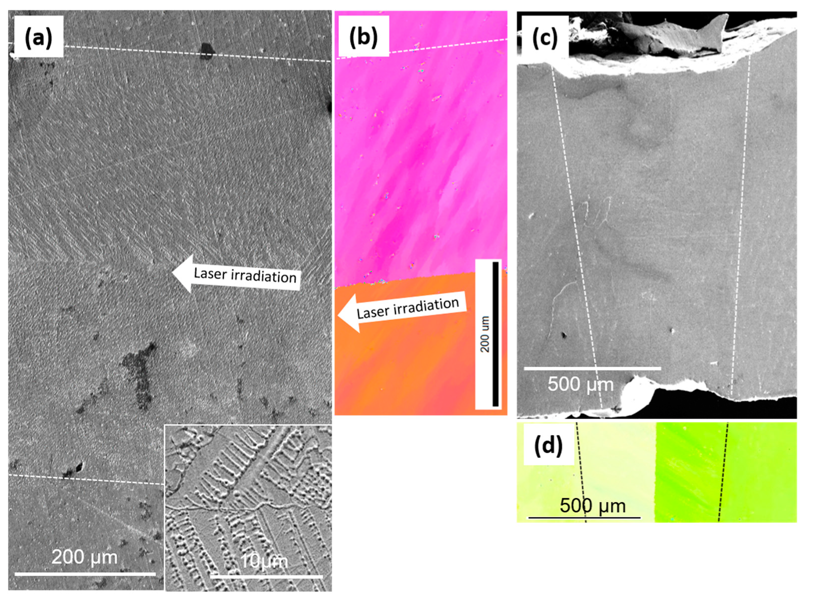 Metals 10 01011 g005