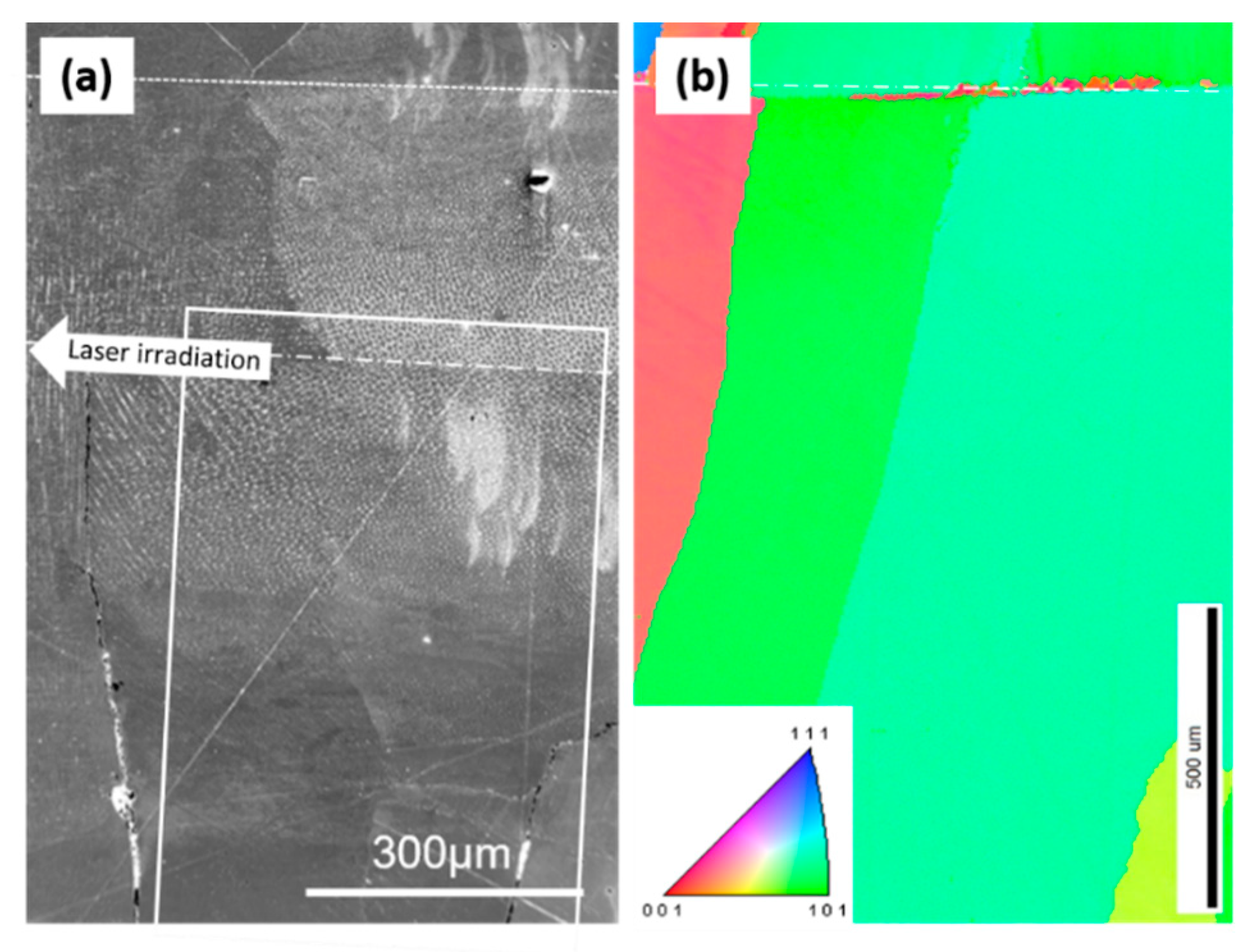 Metals 10 01011 g007