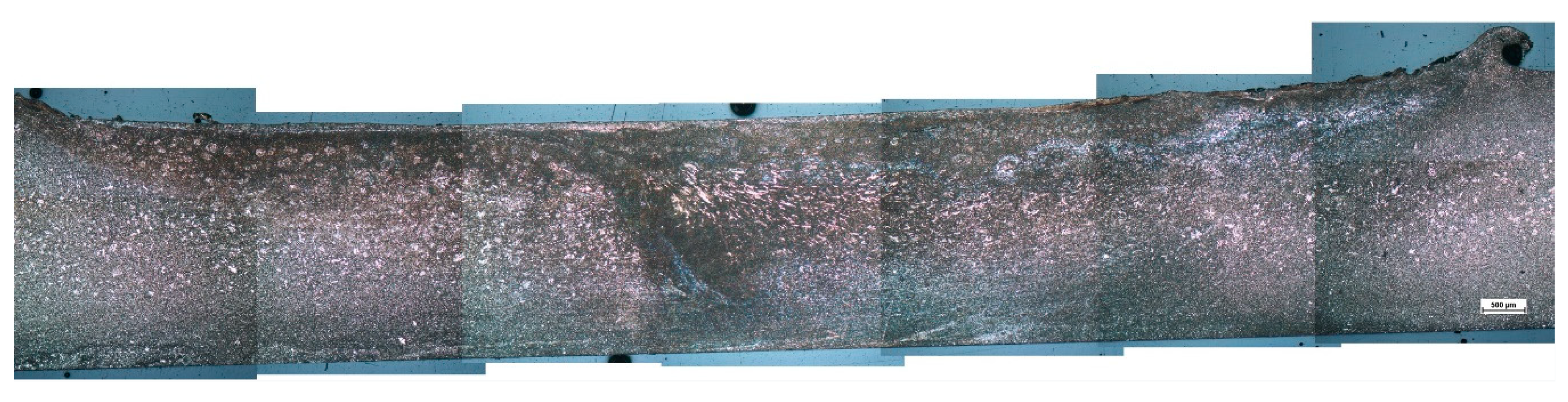 Metals 10 01014 g001