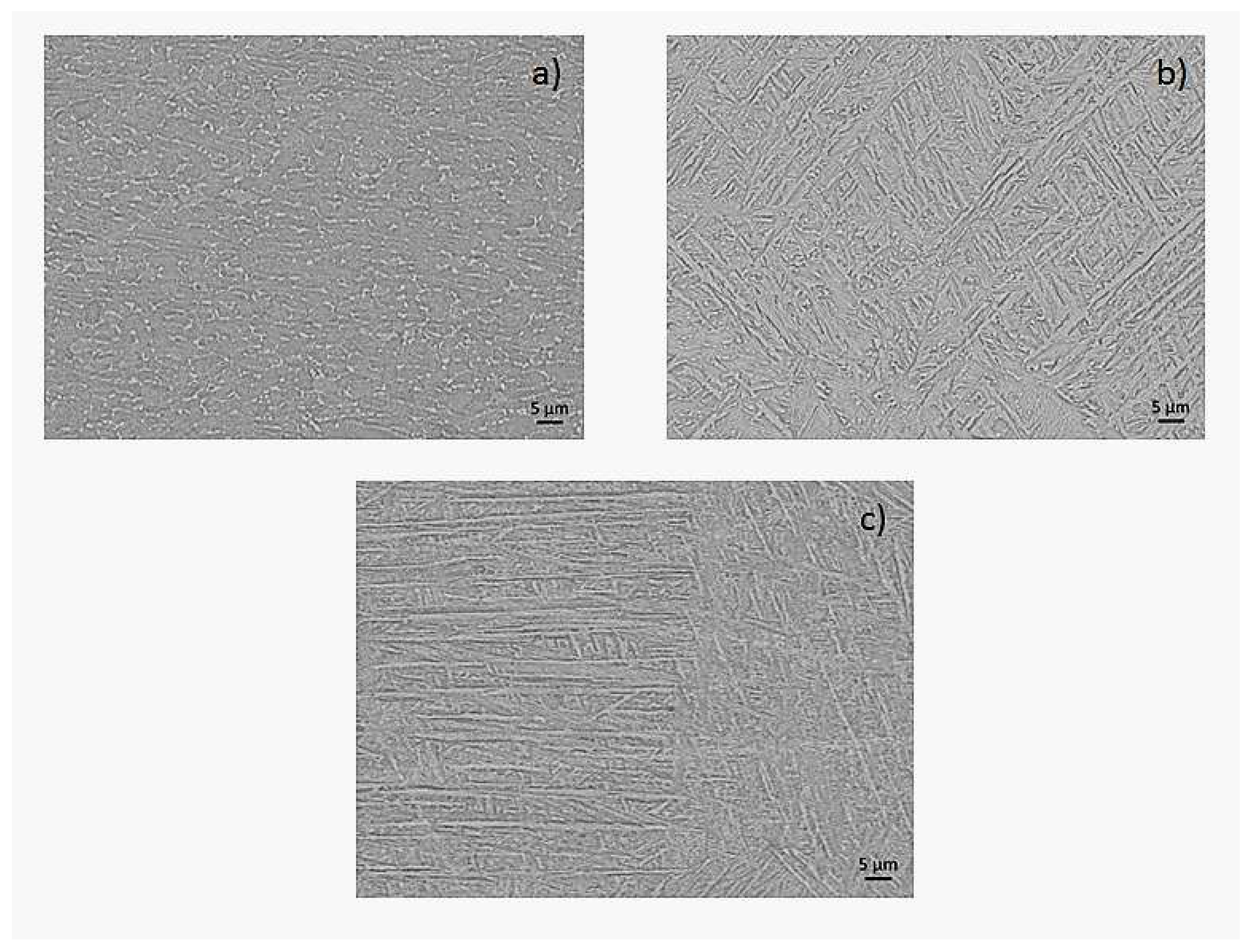 Metals 10 01015 g002