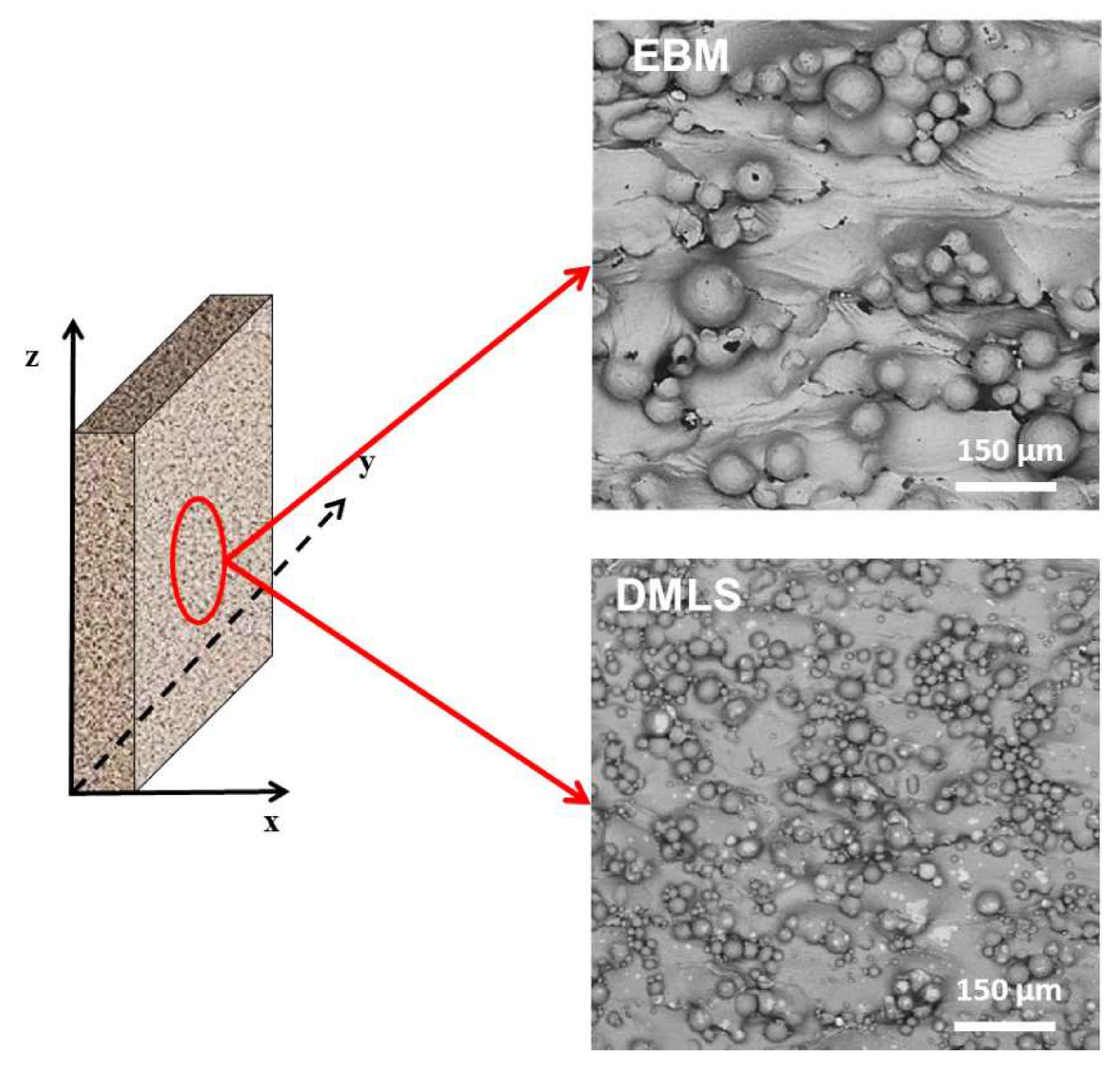Metals 10 01015 g005