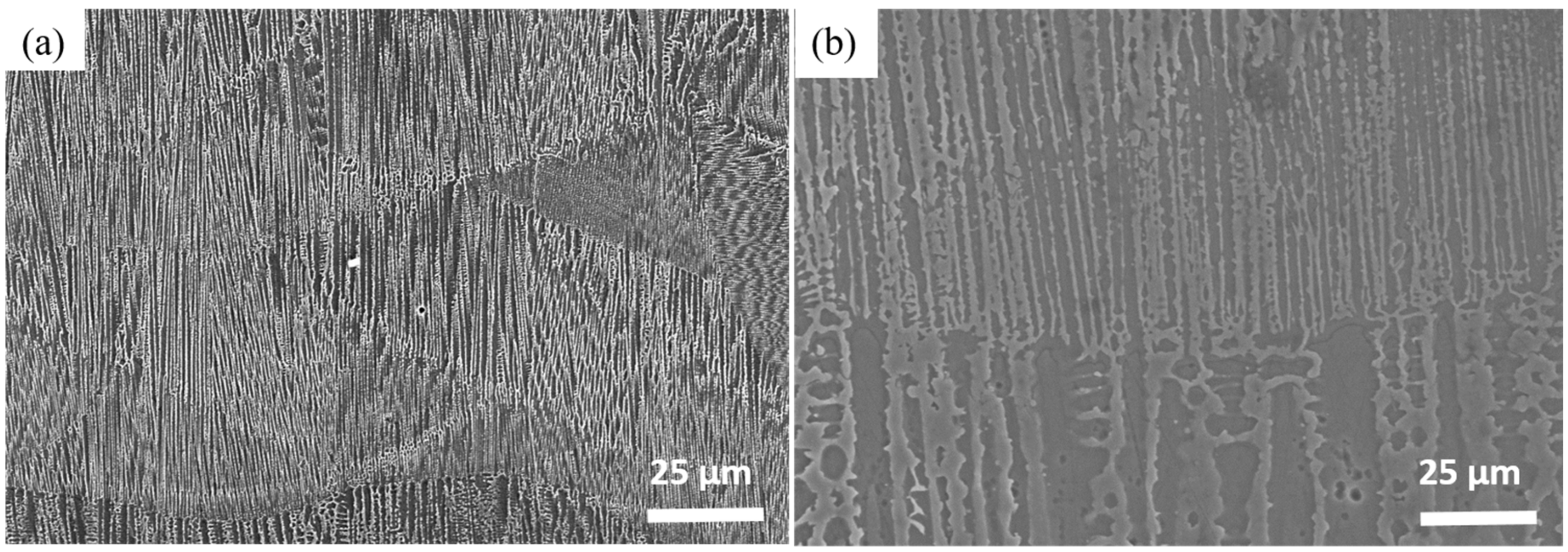 Metals 10 01016 g002