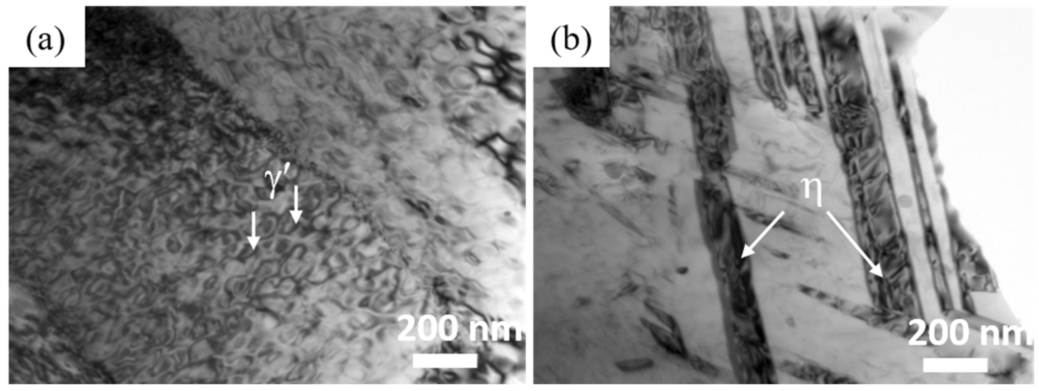 Metals 10 01016 g006