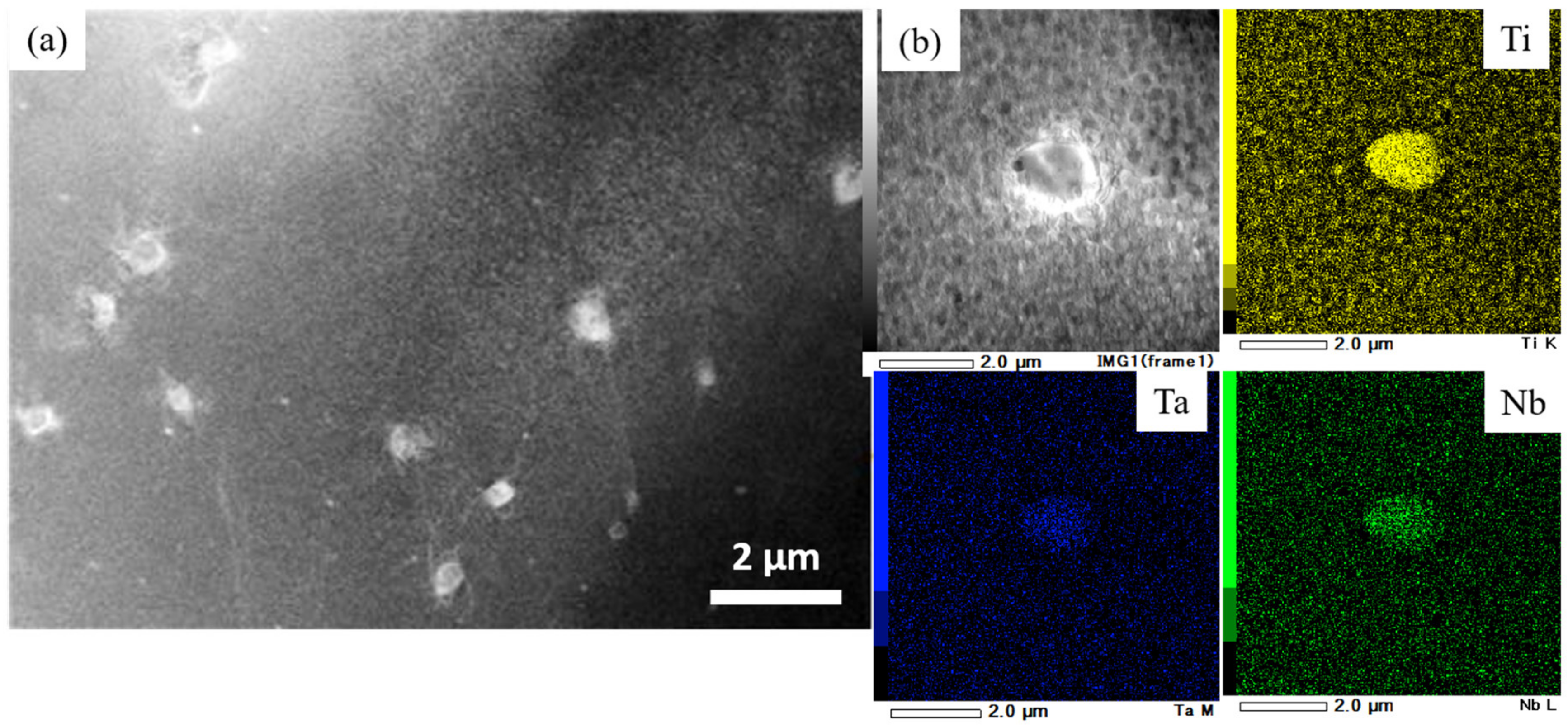 Metals 10 01016 g008