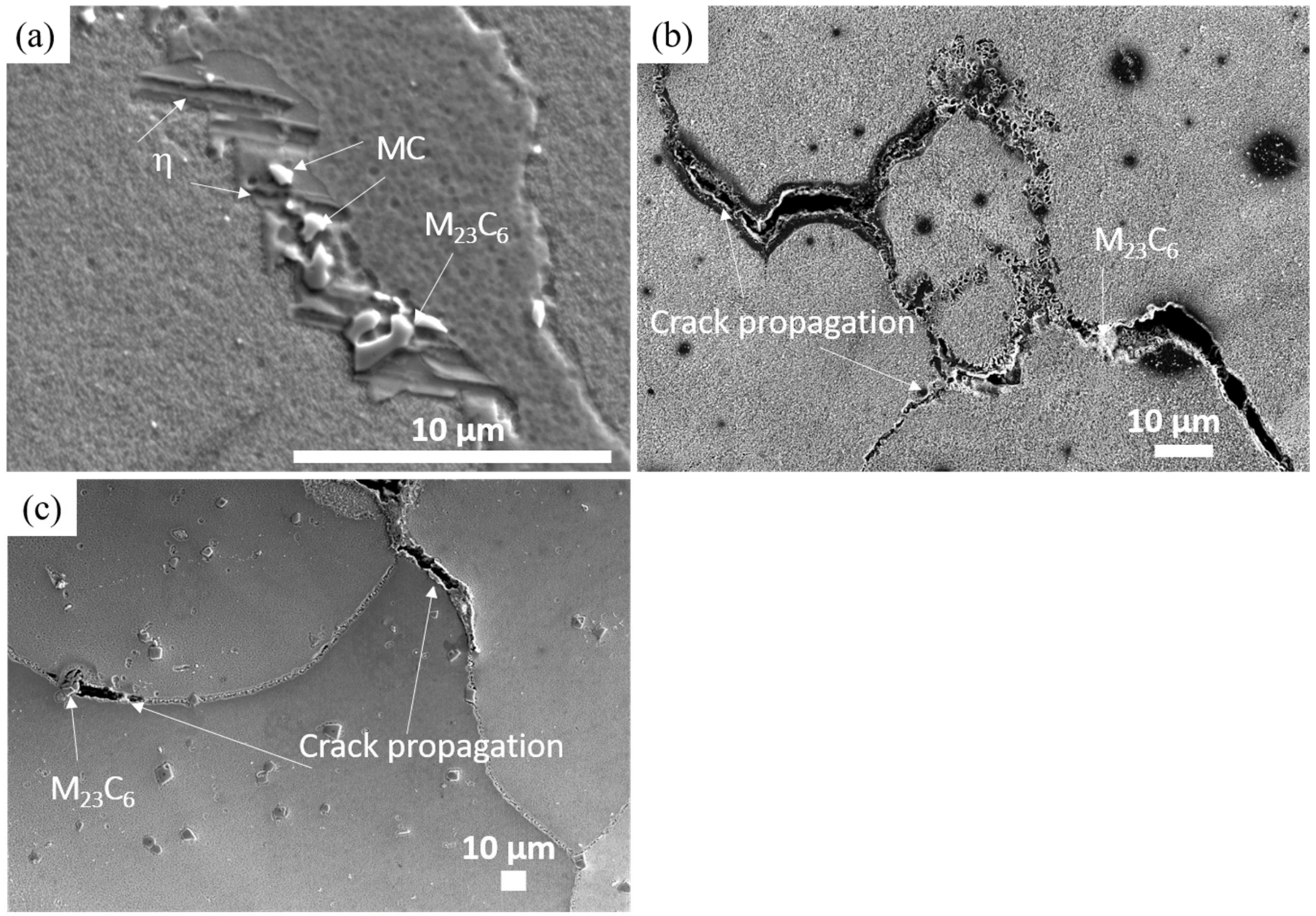 Metals 10 01016 g012
