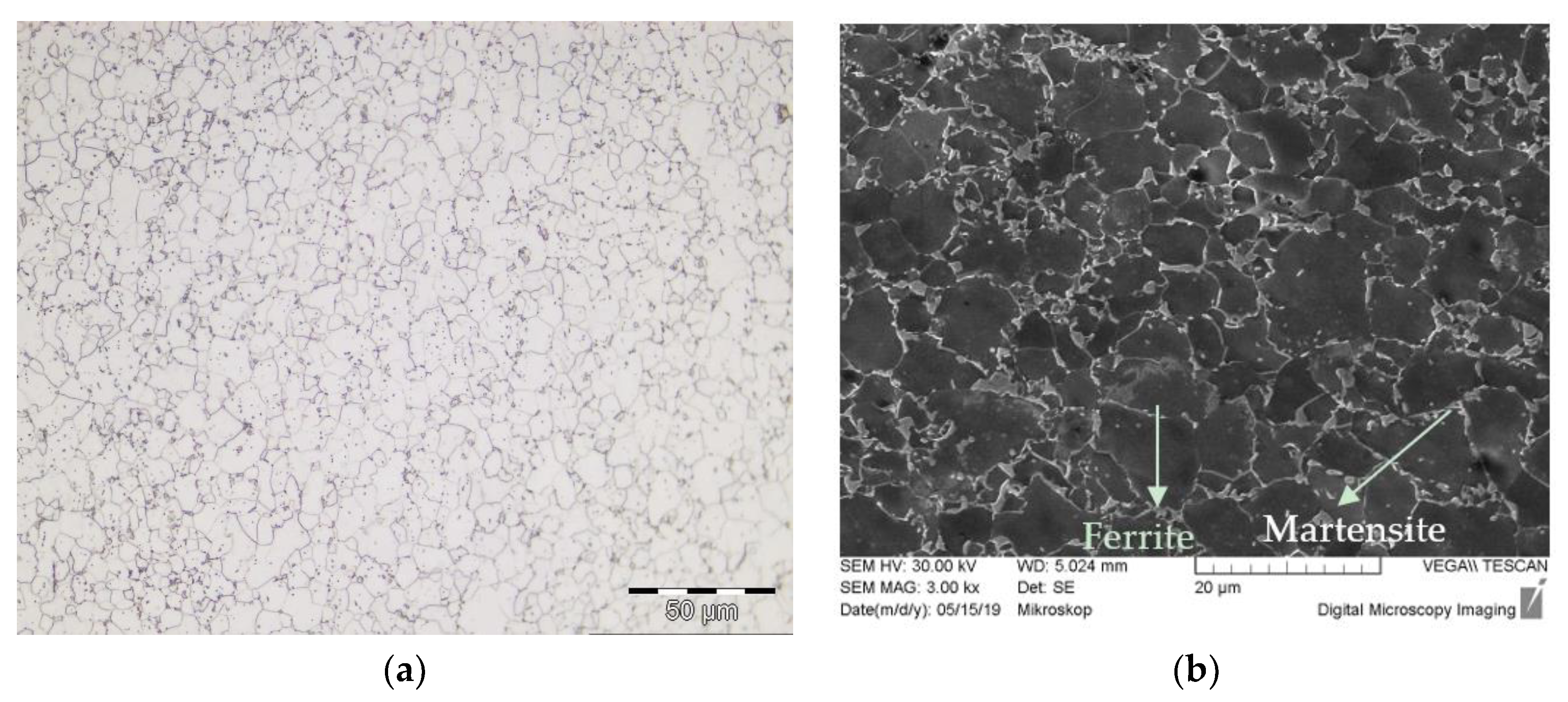 Metals 10 01019 g001