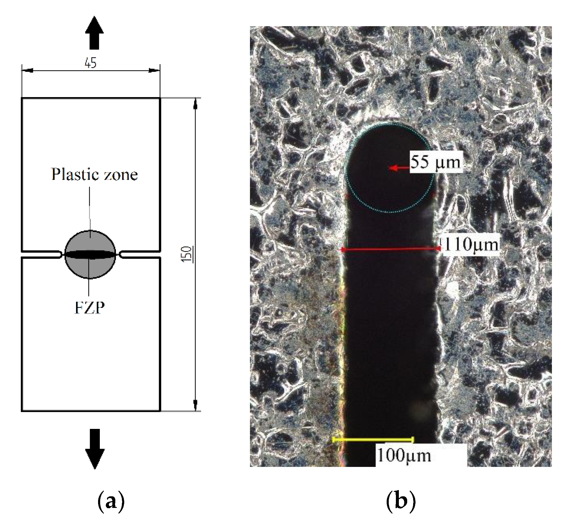 Metals 10 01019 g003