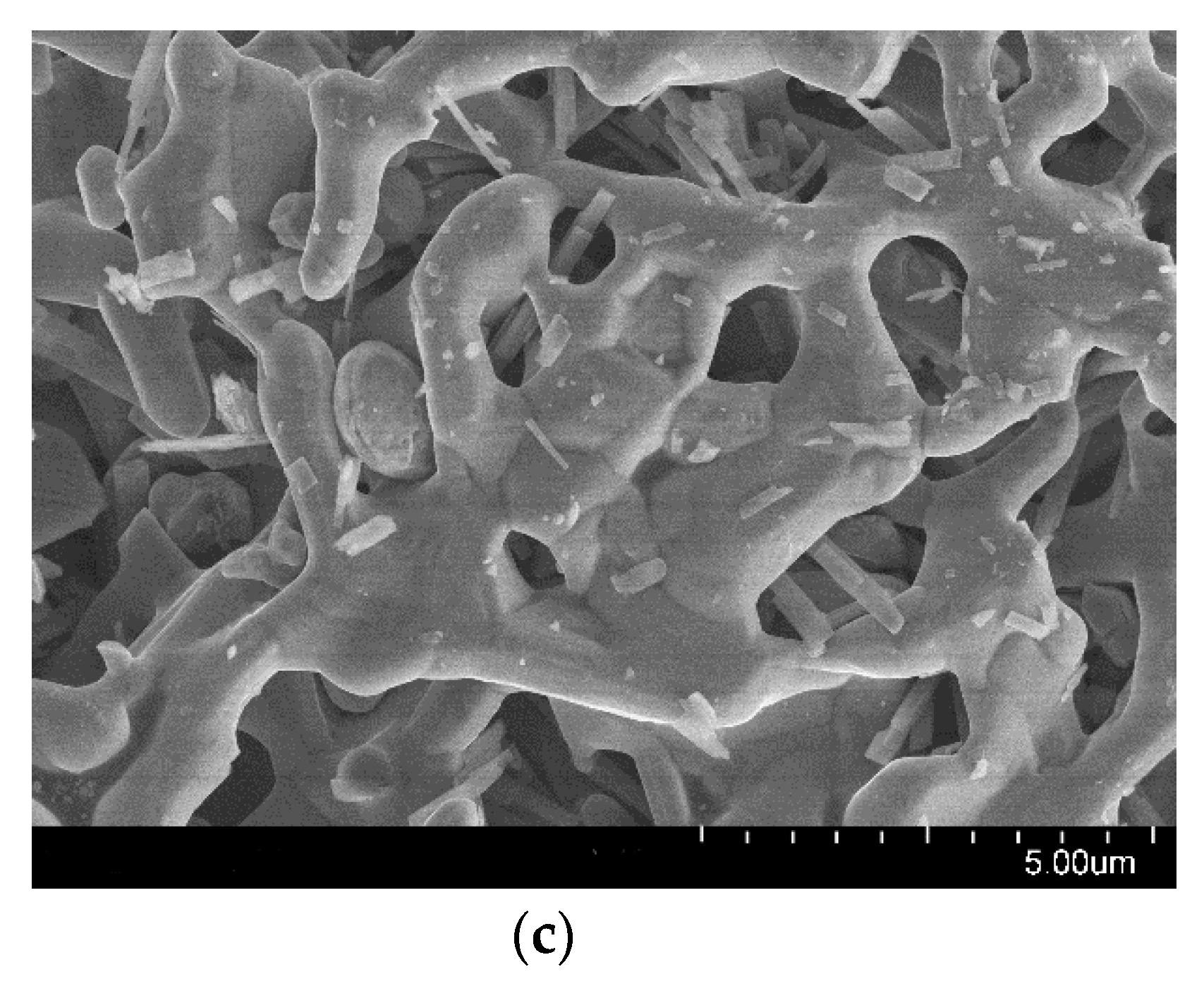 Metals 10 01020 g008b Metals 10 01020 g008b